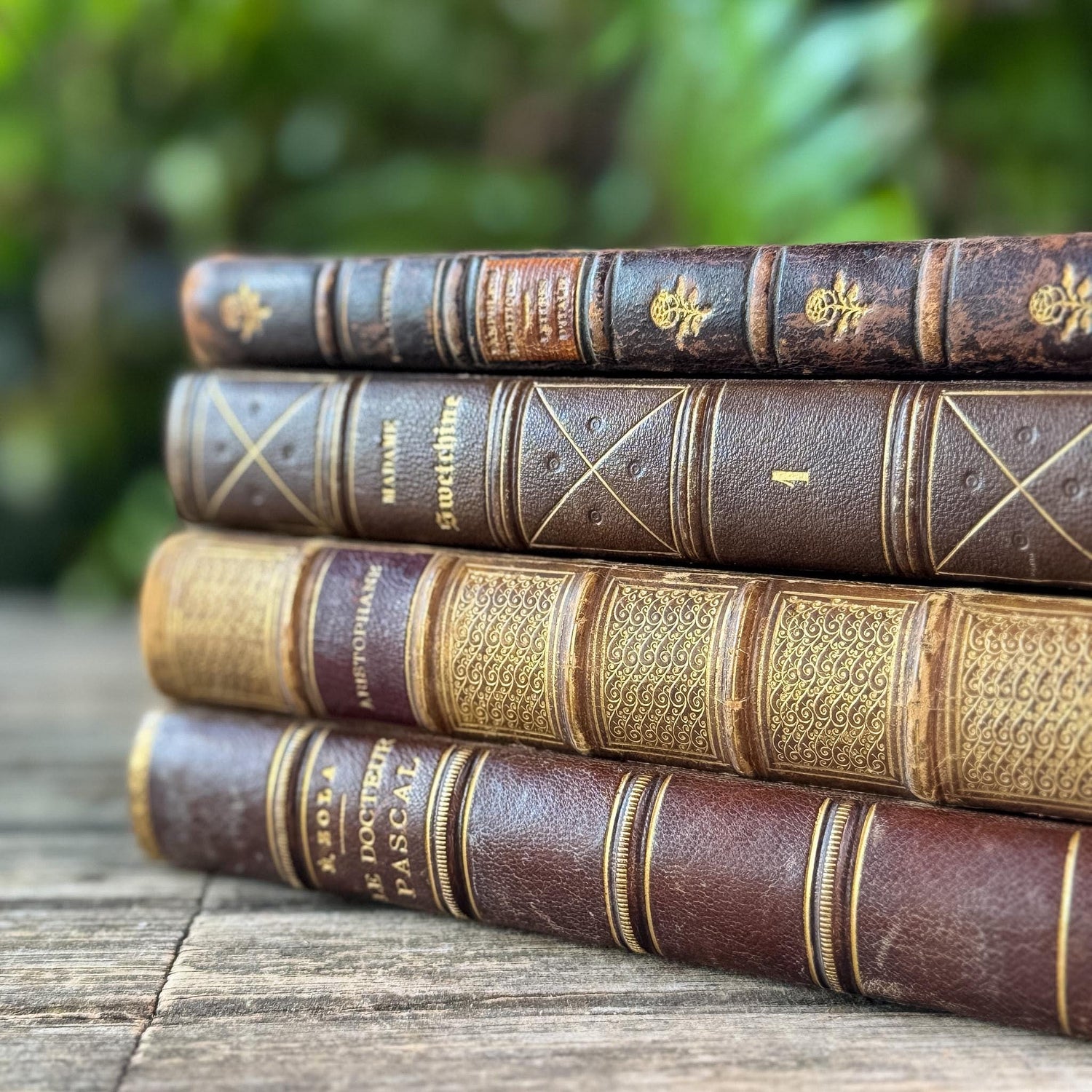 Antique Brown & Gold Ornate French Leather Book Bundle