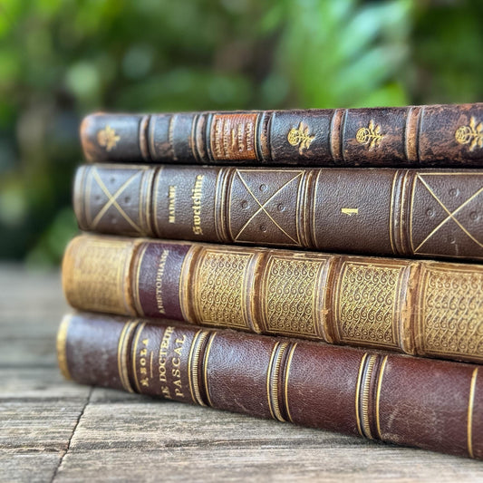 Antique Brown & Gold Ornate French Leather Book Bundle
