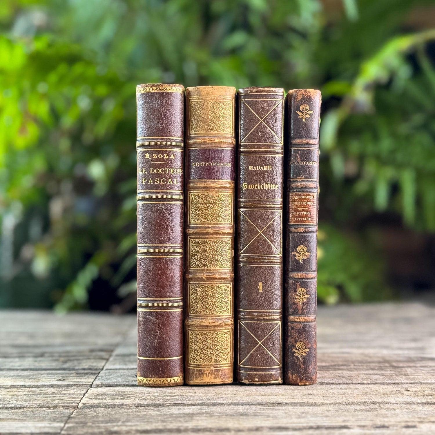 Antique Brown & Gold Ornate French Leather Book Bundle
