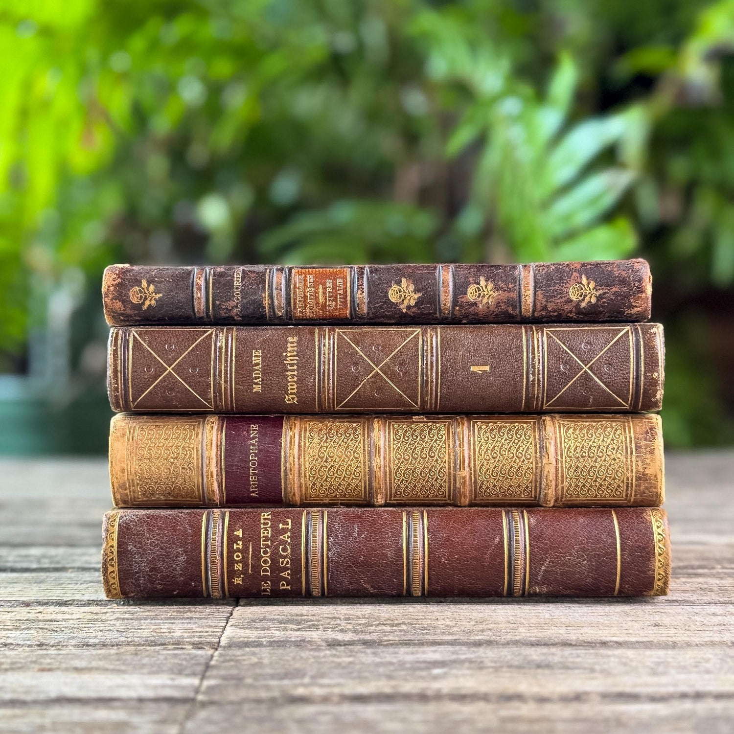 Antique Brown & Gold Ornate French Leather Book Bundle