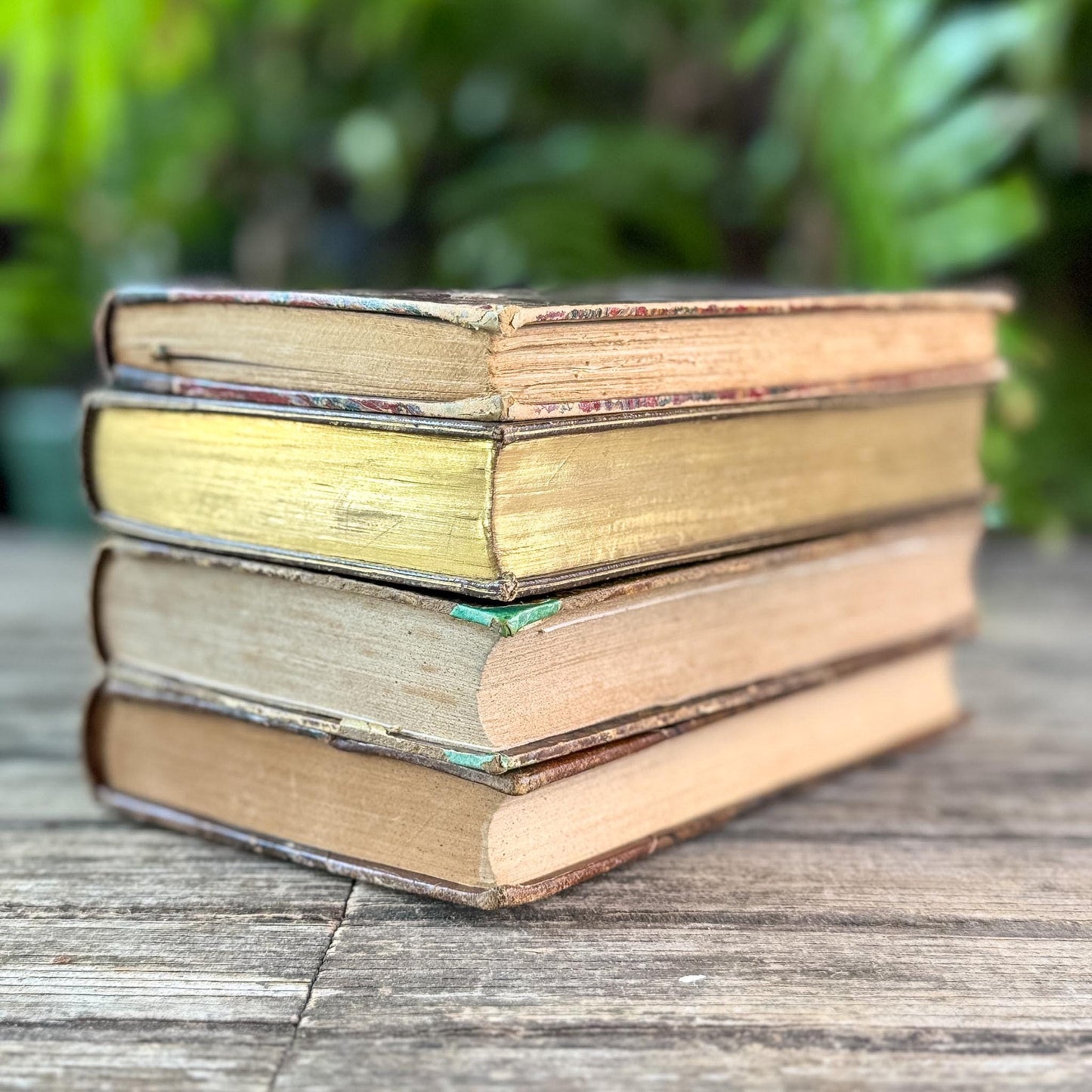 Antique Brown & Gold Ornate French Leather Book Bundle