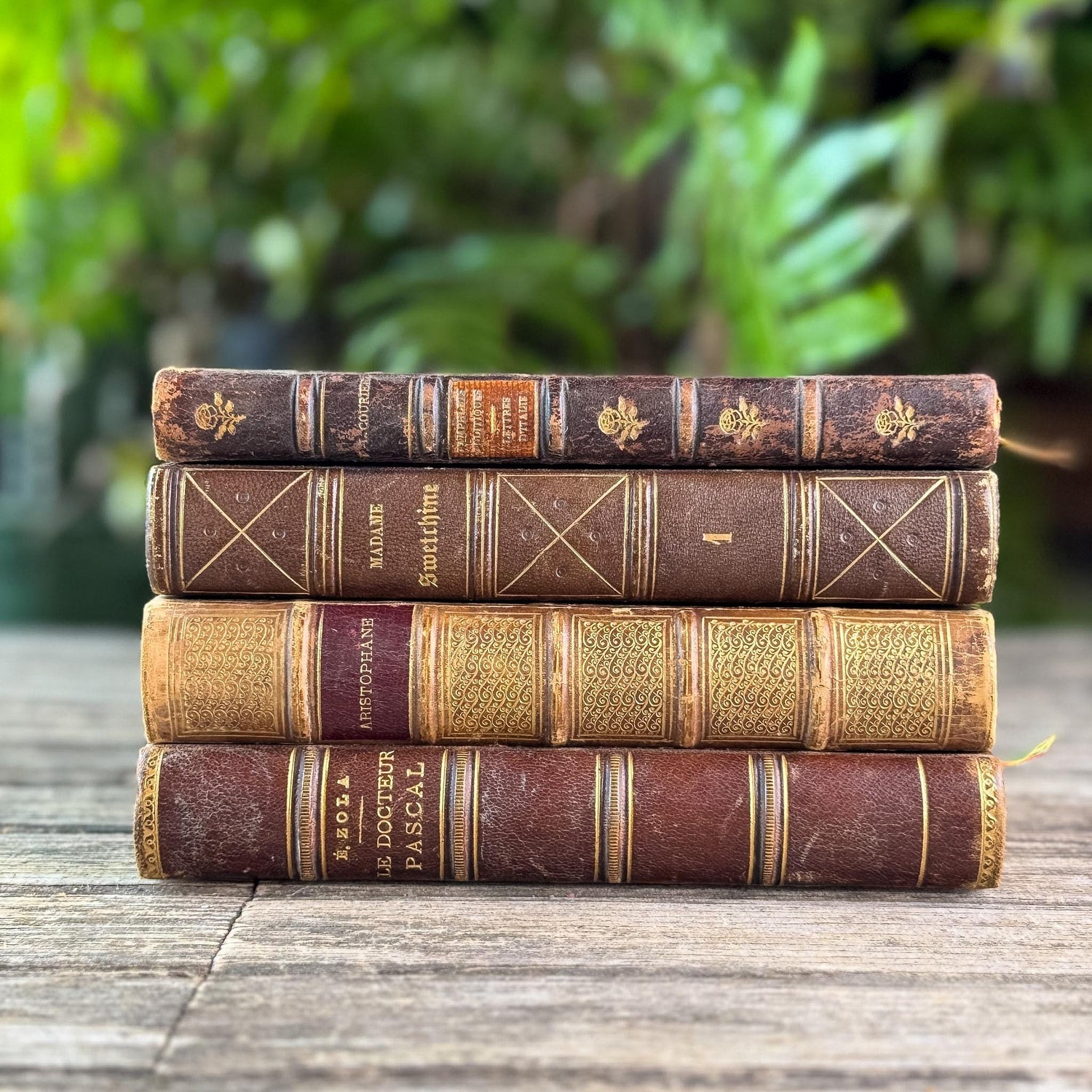 Antique Brown & Gold Ornate French Leather Book Bundle