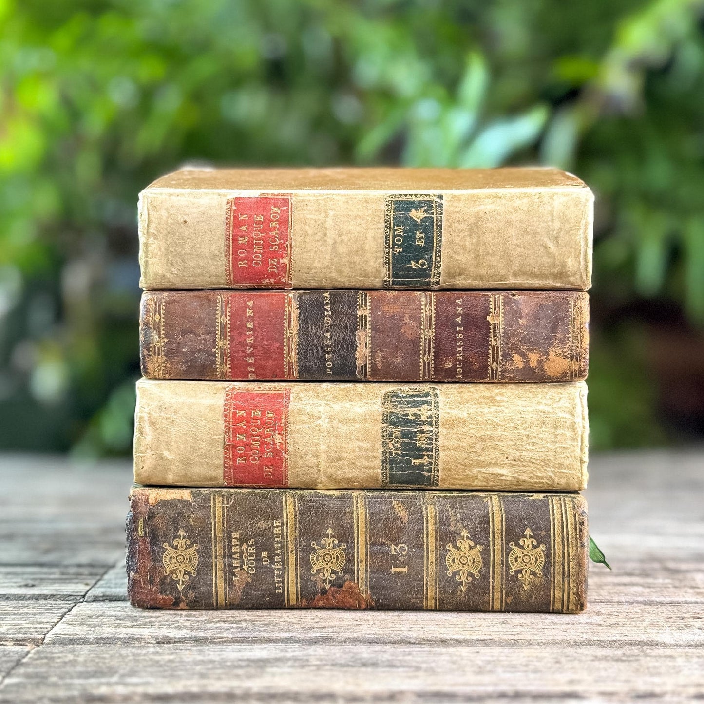 Mini Old Brown & Tan French Leather Book Bundle for Small Spaces