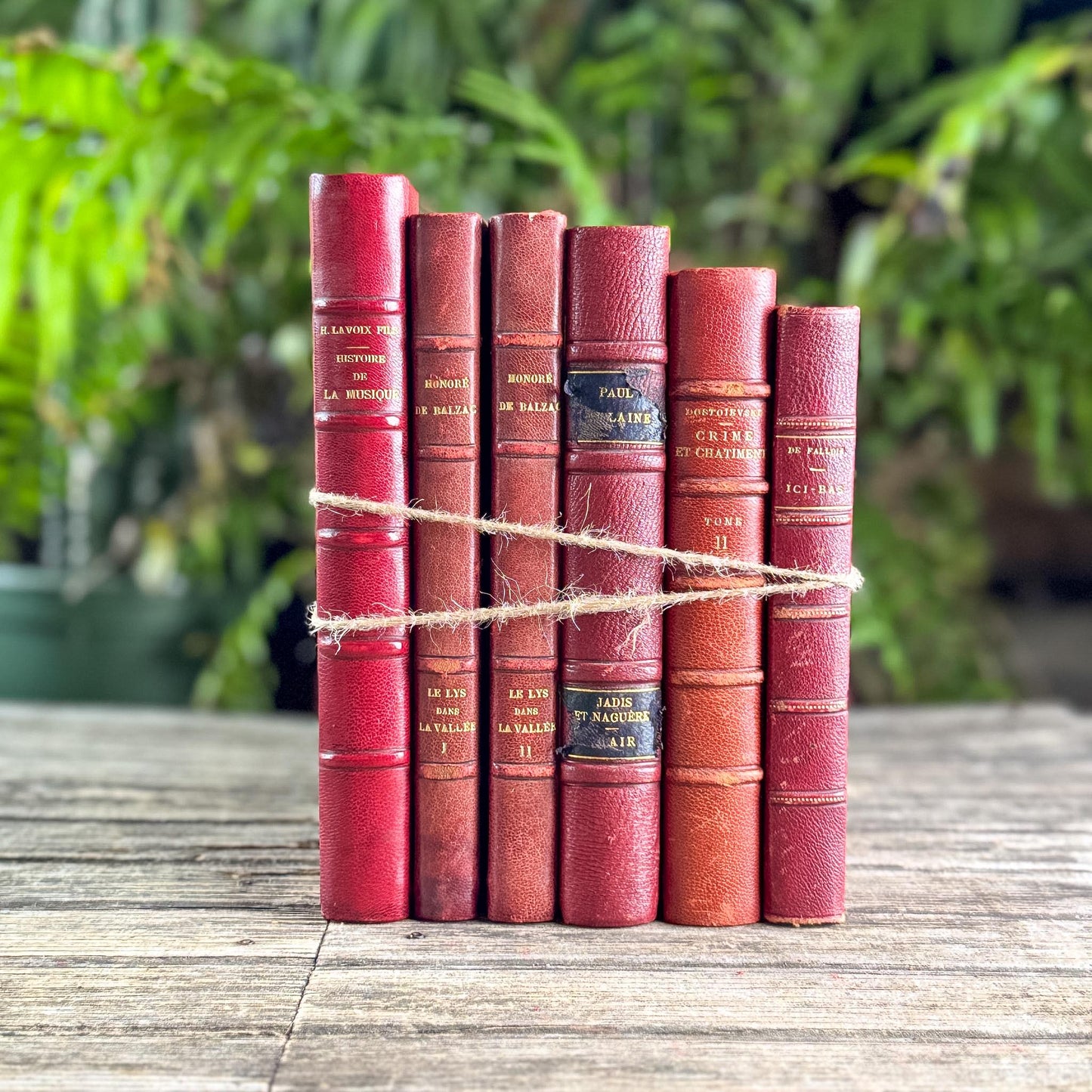 Antique Copper, Brown, and Red French Leather Book Bundle