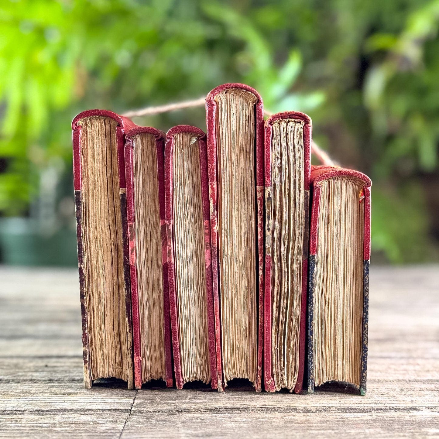 Antique Copper, Brown, and Red French Leather Book Bundle