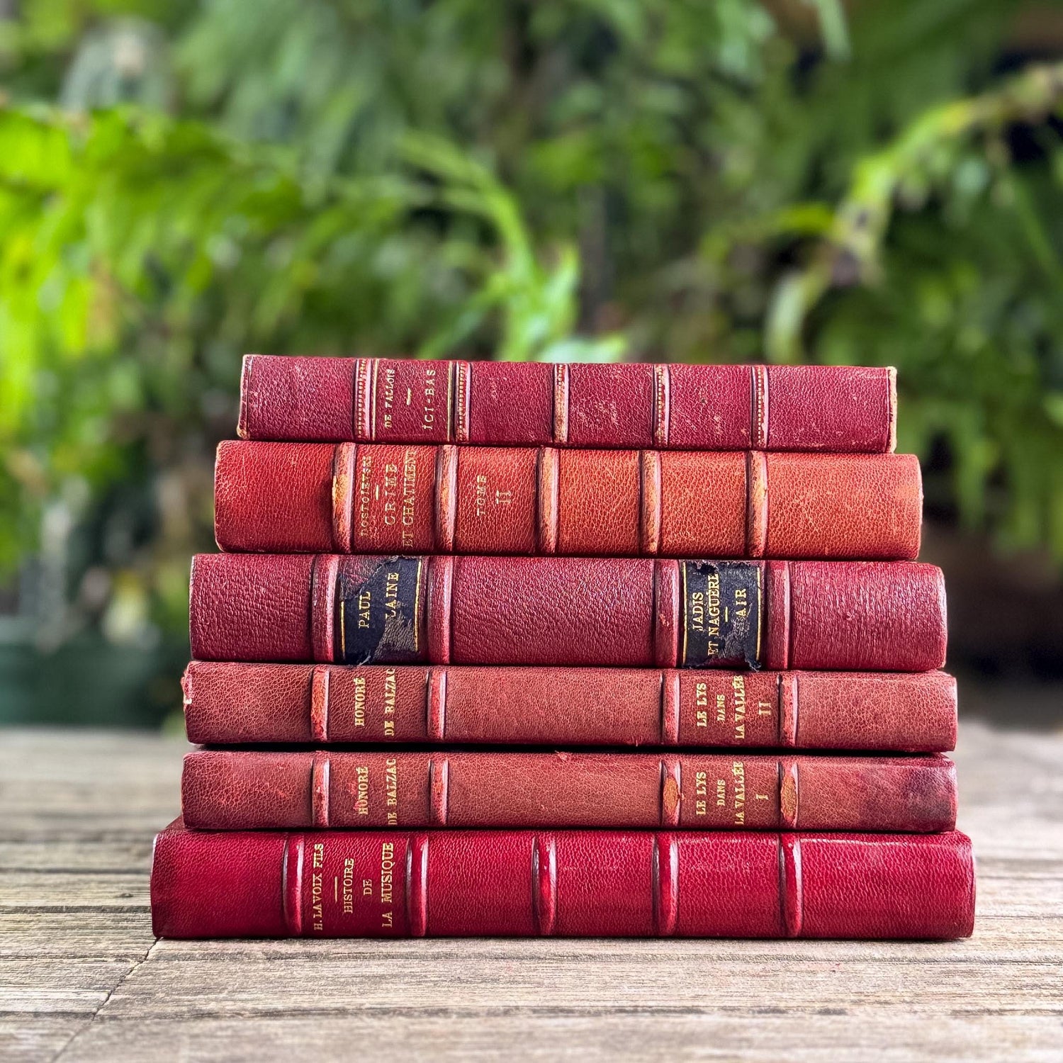 Antique Copper, Brown, and Red French Leather Book Bundle