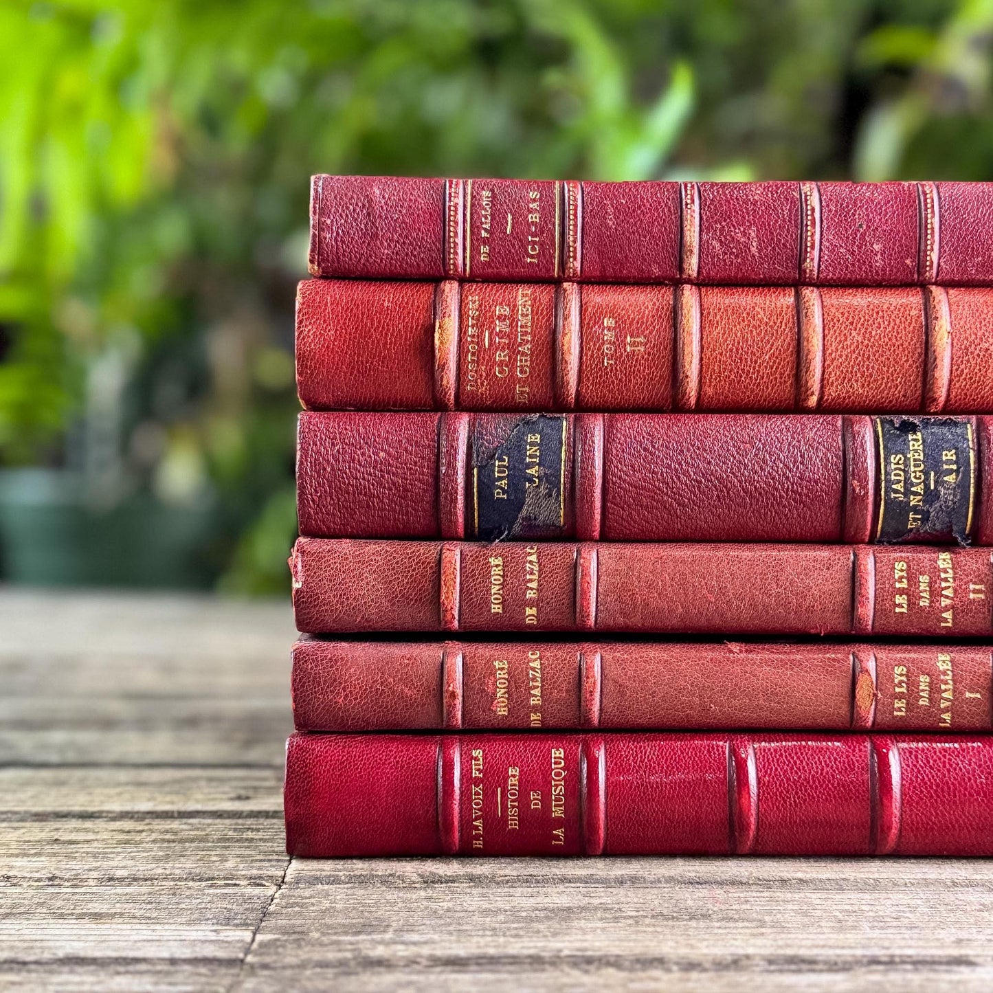 Antique Copper, Brown, and Red French Leather Book Bundle