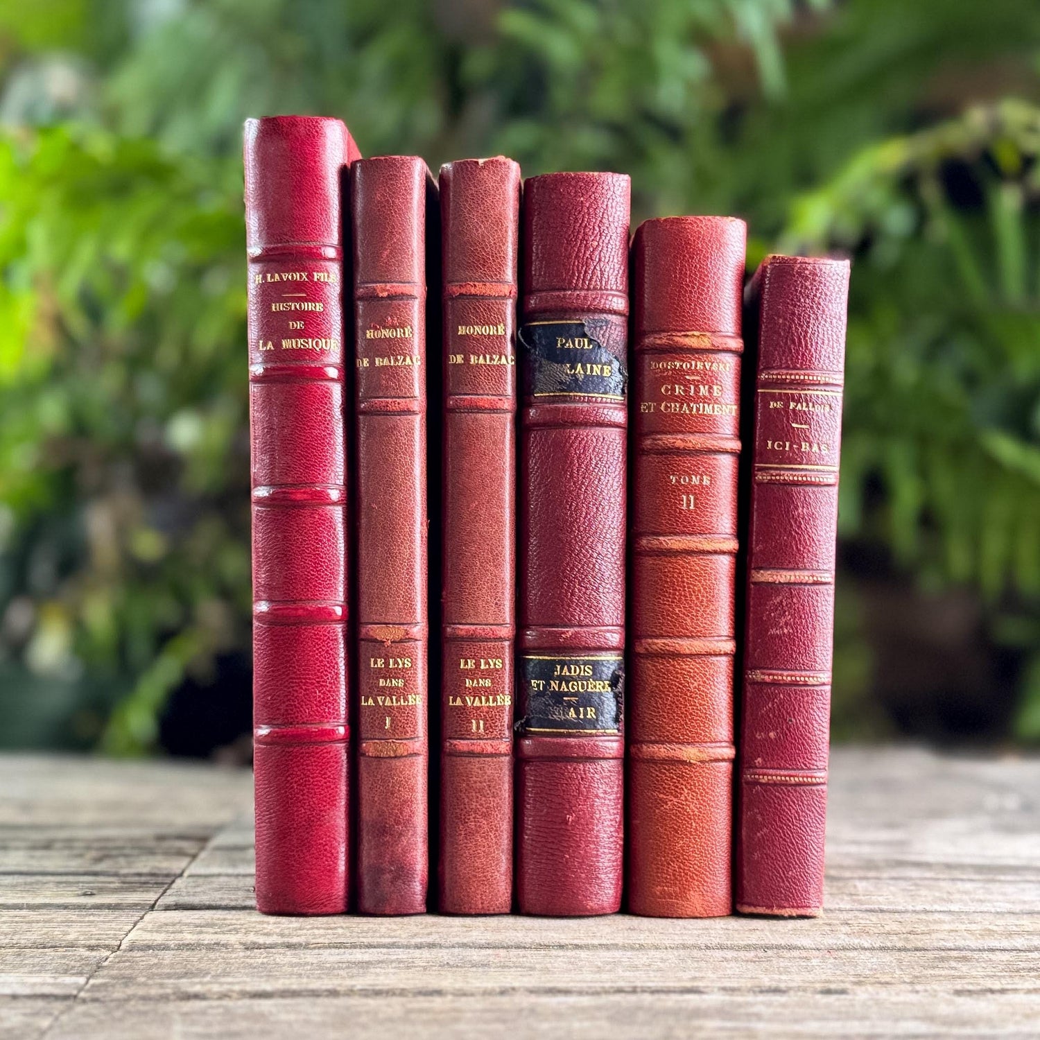 Antique Copper, Brown, and Red French Leather Book Bundle