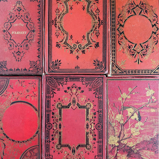 Antique French Decorative Cartonnage Binding Book Bundle