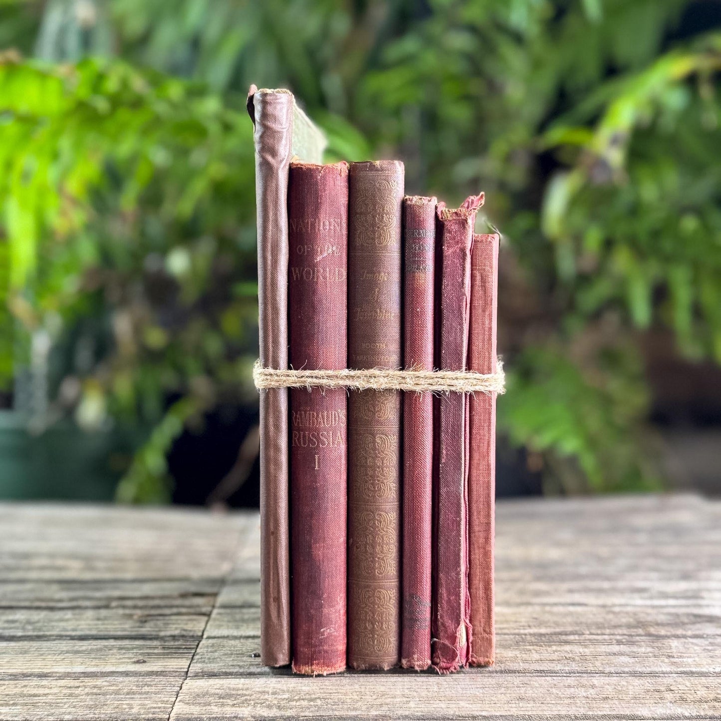 Antique Shabby Red & Brown Book Bundle for Moody Shelf Styling