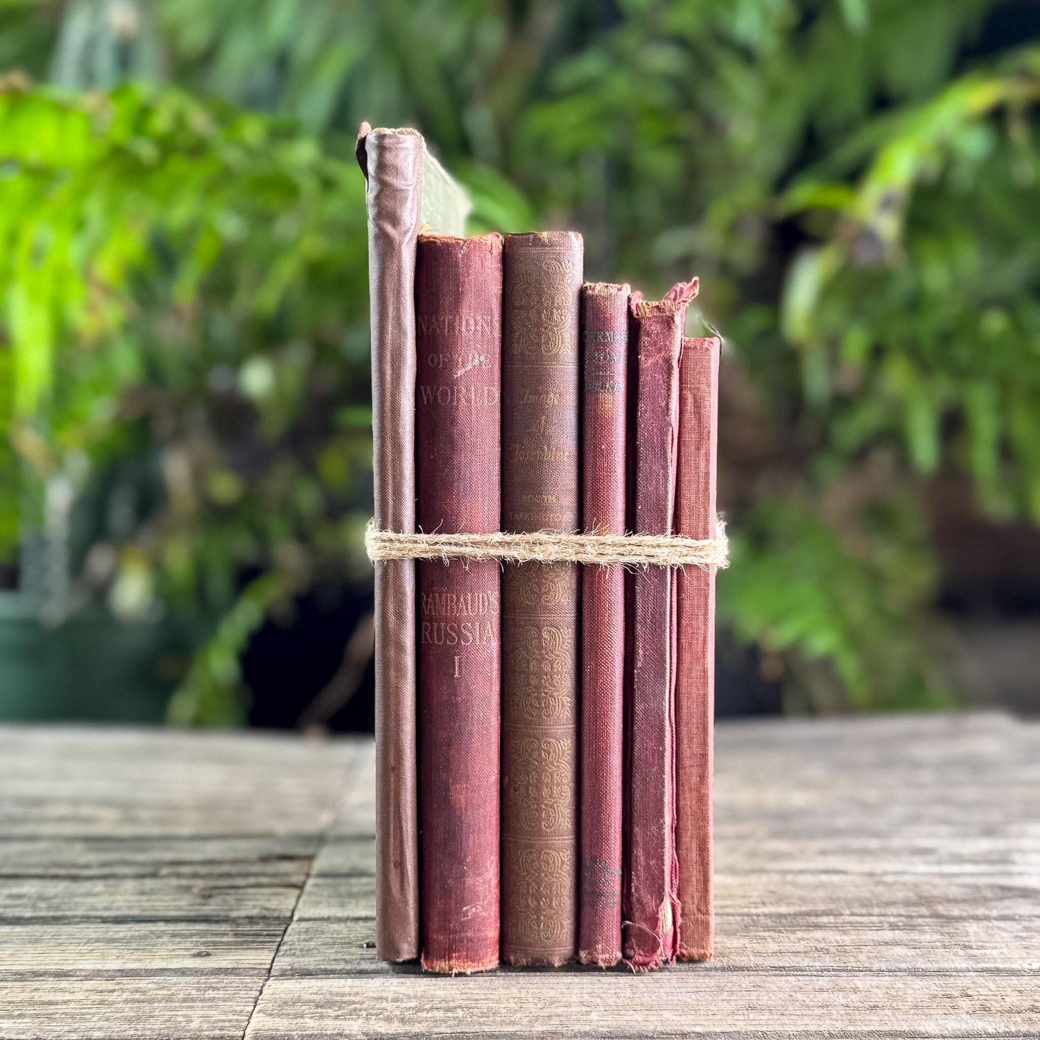 Antique Shabby Red & Brown Book Bundle for Moody Shelf Styling