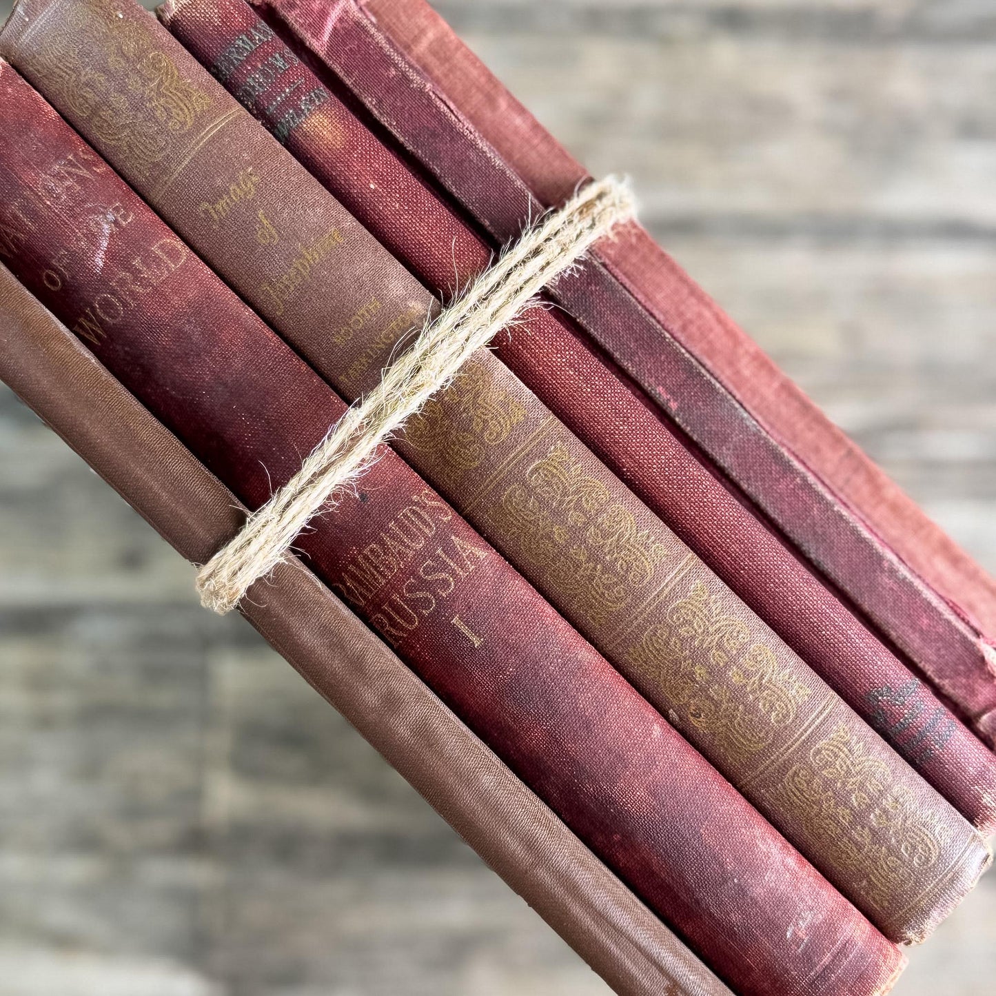 Antique Shabby Red & Brown Book Bundle for Moody Shelf Styling