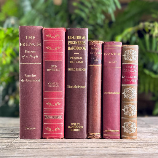 Maroon, Red & Gold Old Book Bundle of Classics
