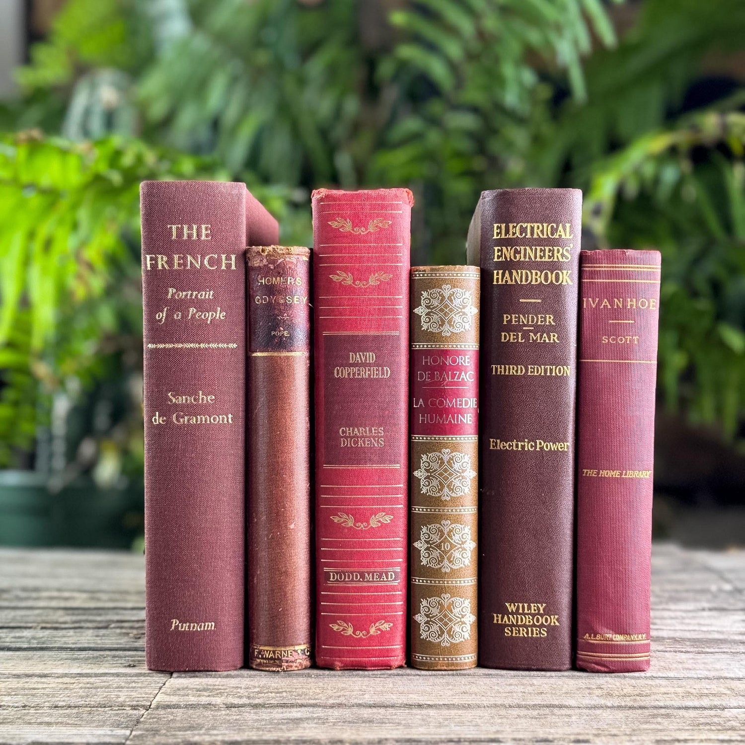 Maroon, Red & Gold Old Book Bundle of Classics