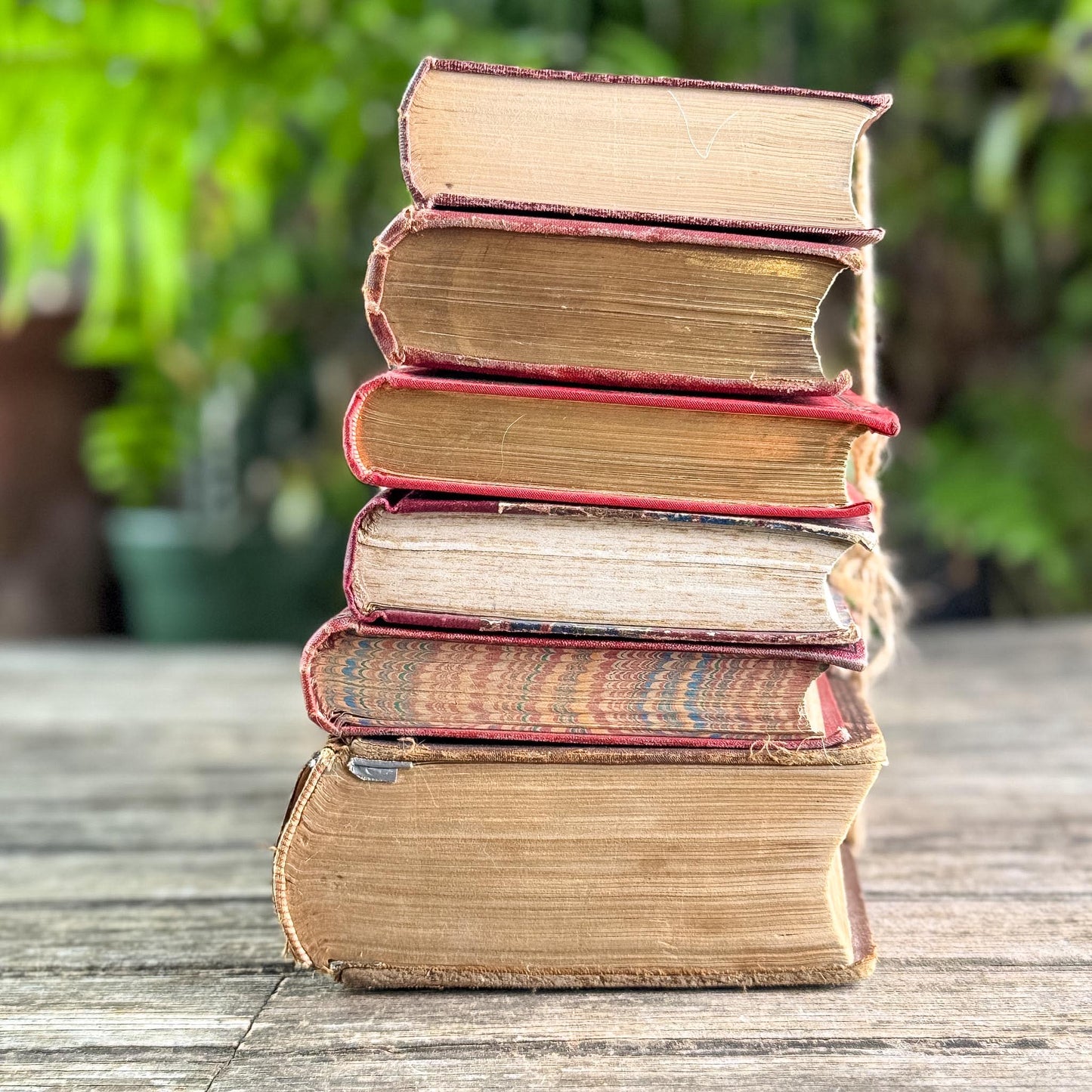 Antique Red French and English Classic Book Bundle