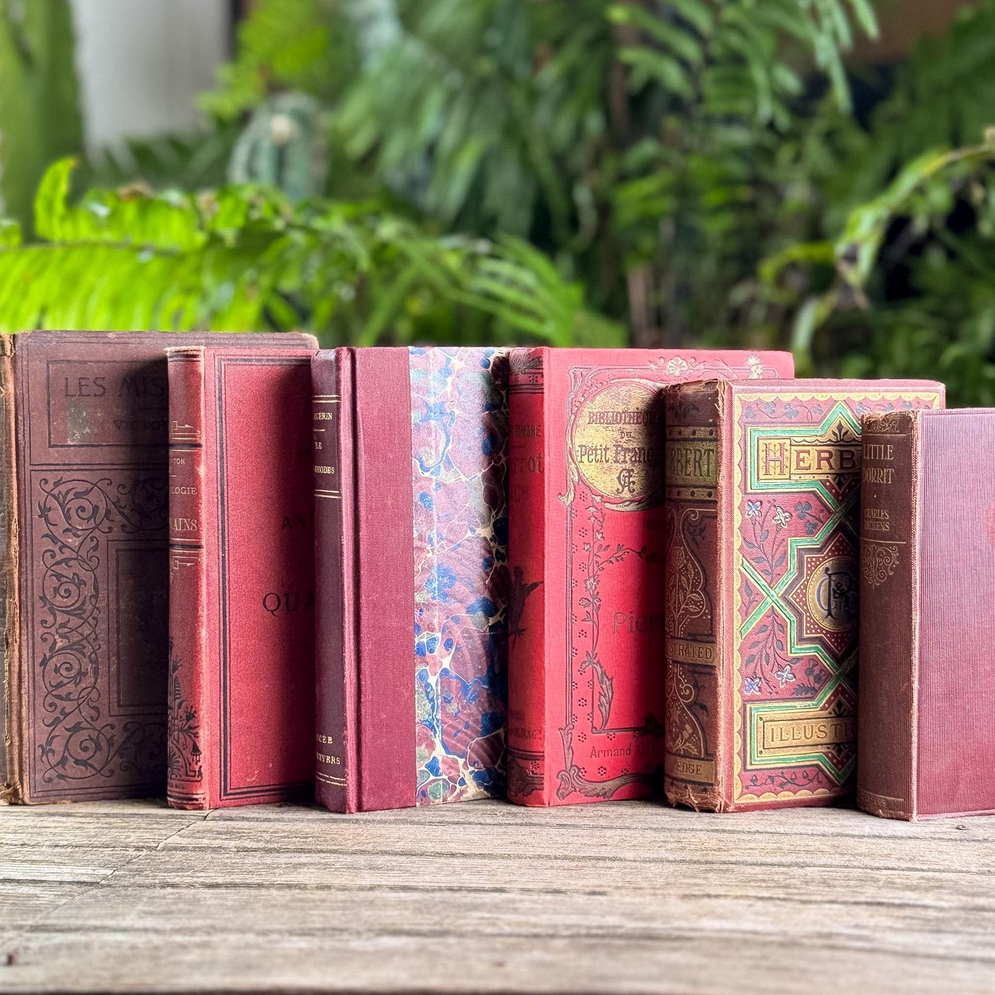 Antique Red French and English Classic Book Bundle