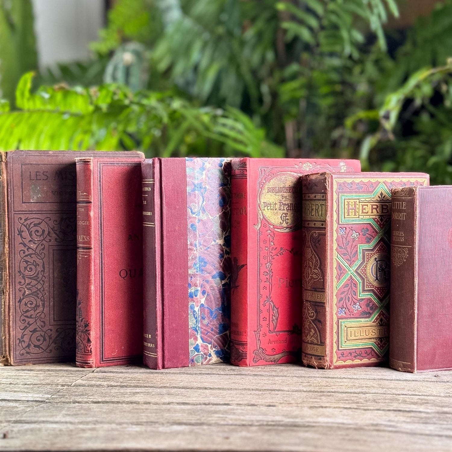 Antique Red French and English Classic Book Bundle