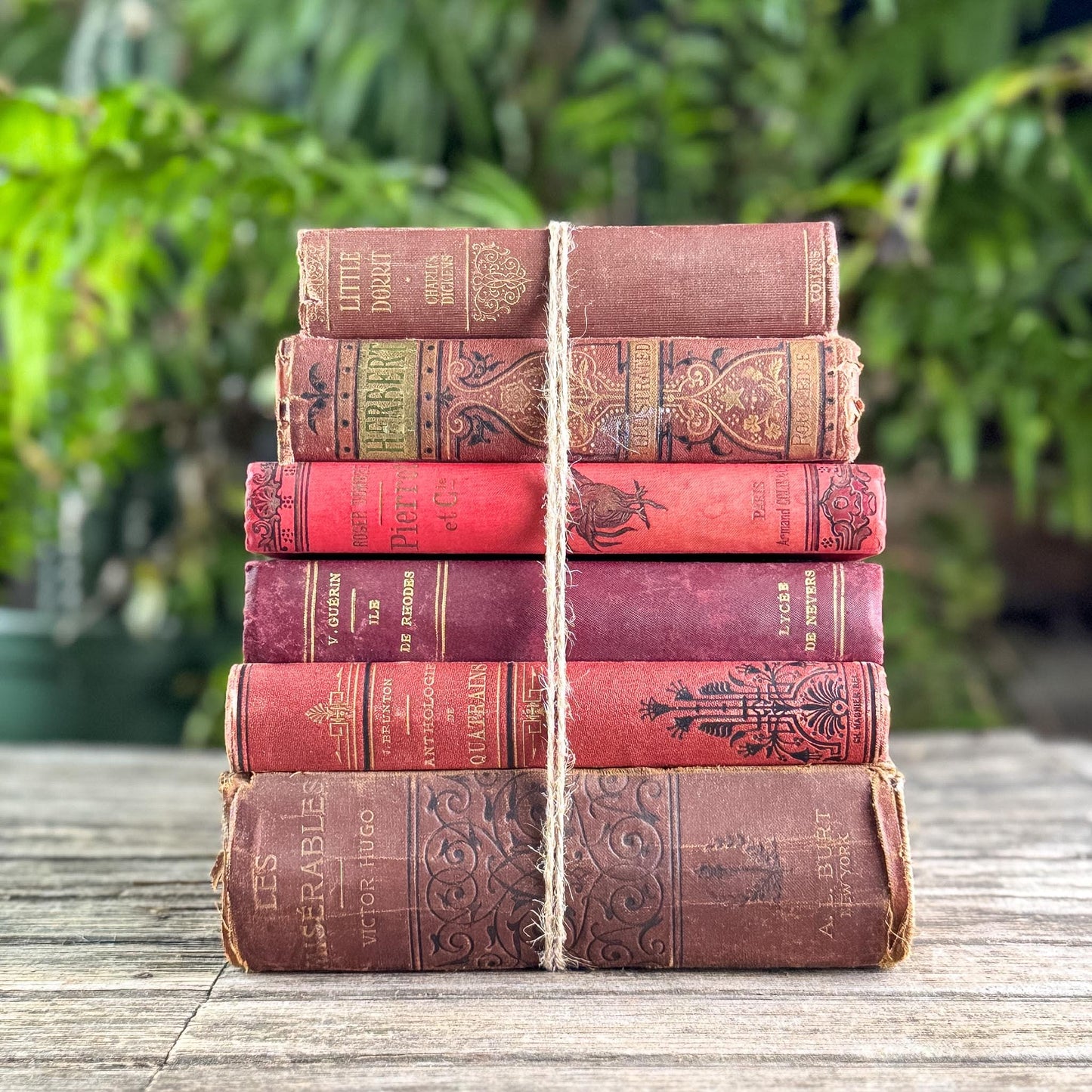 Antique Red French and English Classic Book Bundle