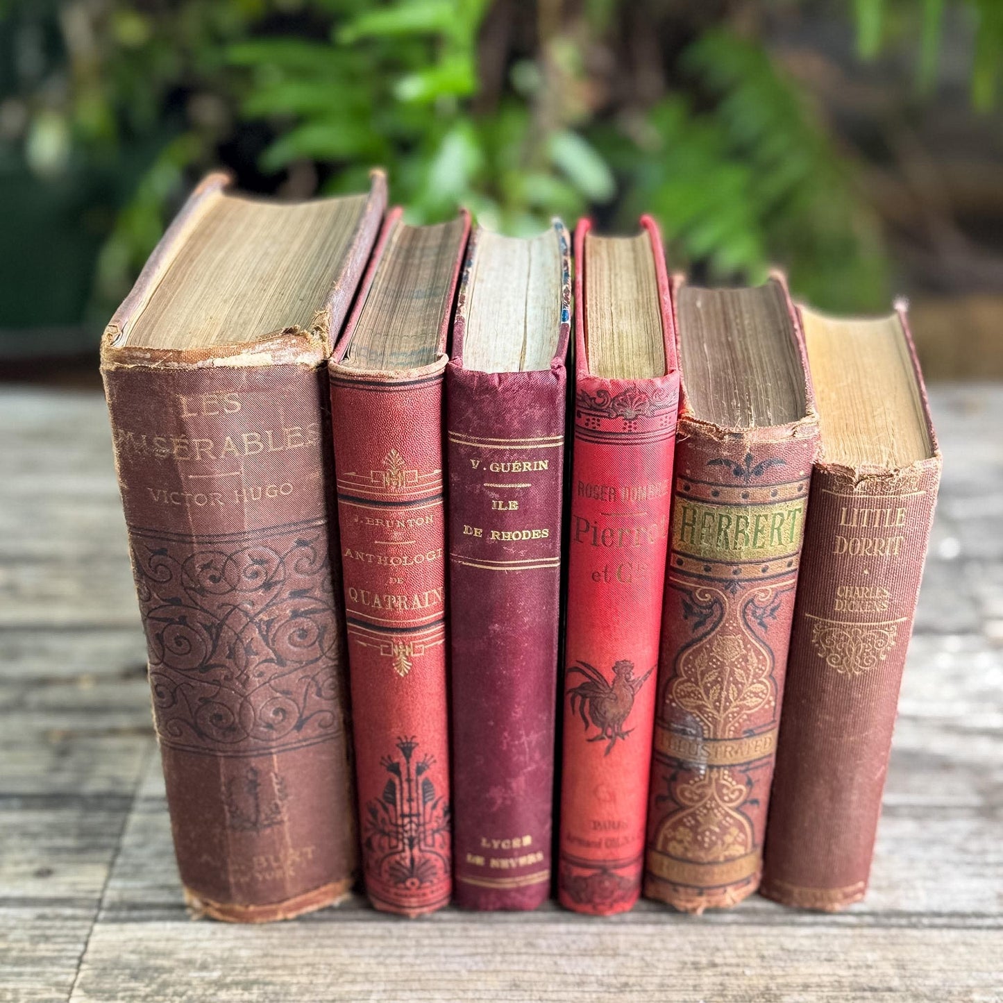 Antique Red French and English Classic Book Bundle