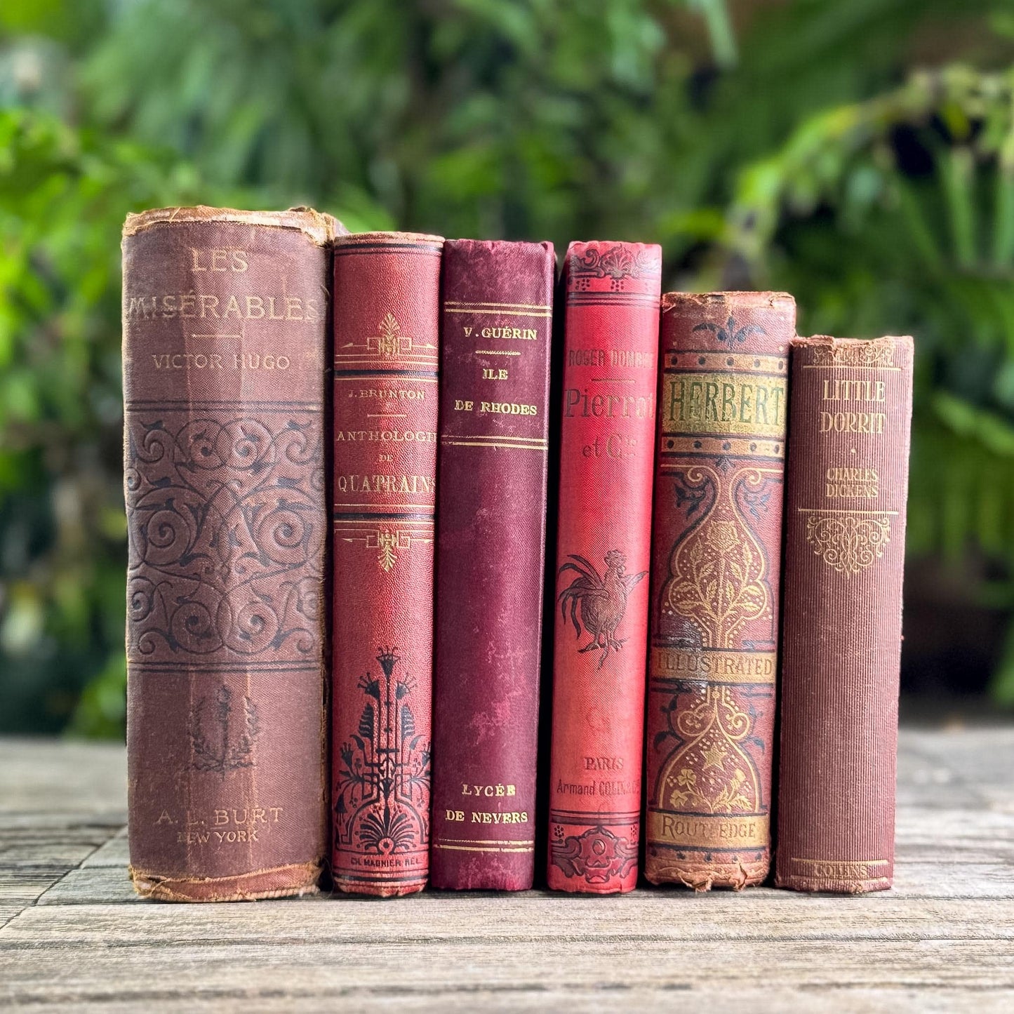 Antique Red French and English Classic Book Bundle