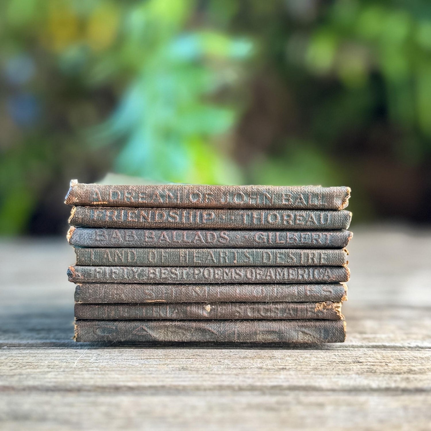 Tiny Antique Green Little Leather Library Books