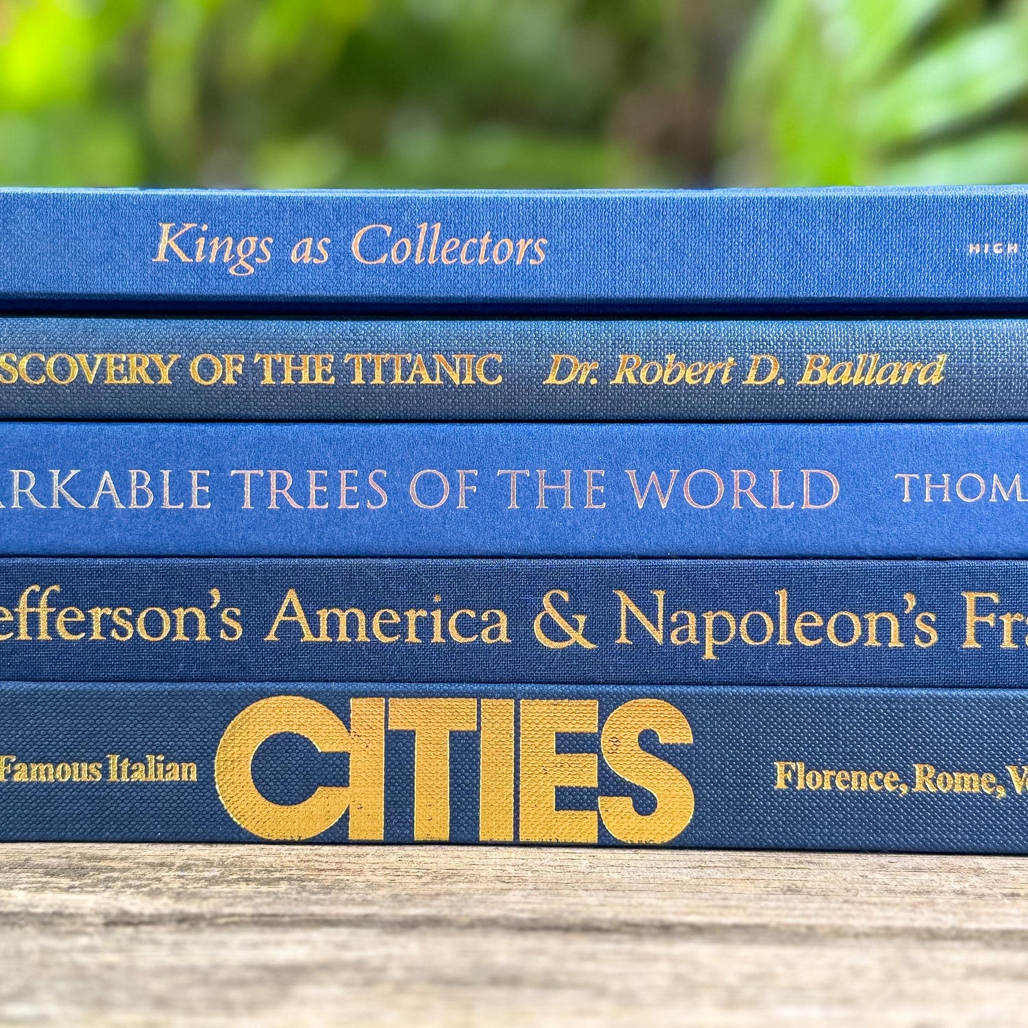 Indigo and Navy Blue Vintage Coffee Table Book Bundle