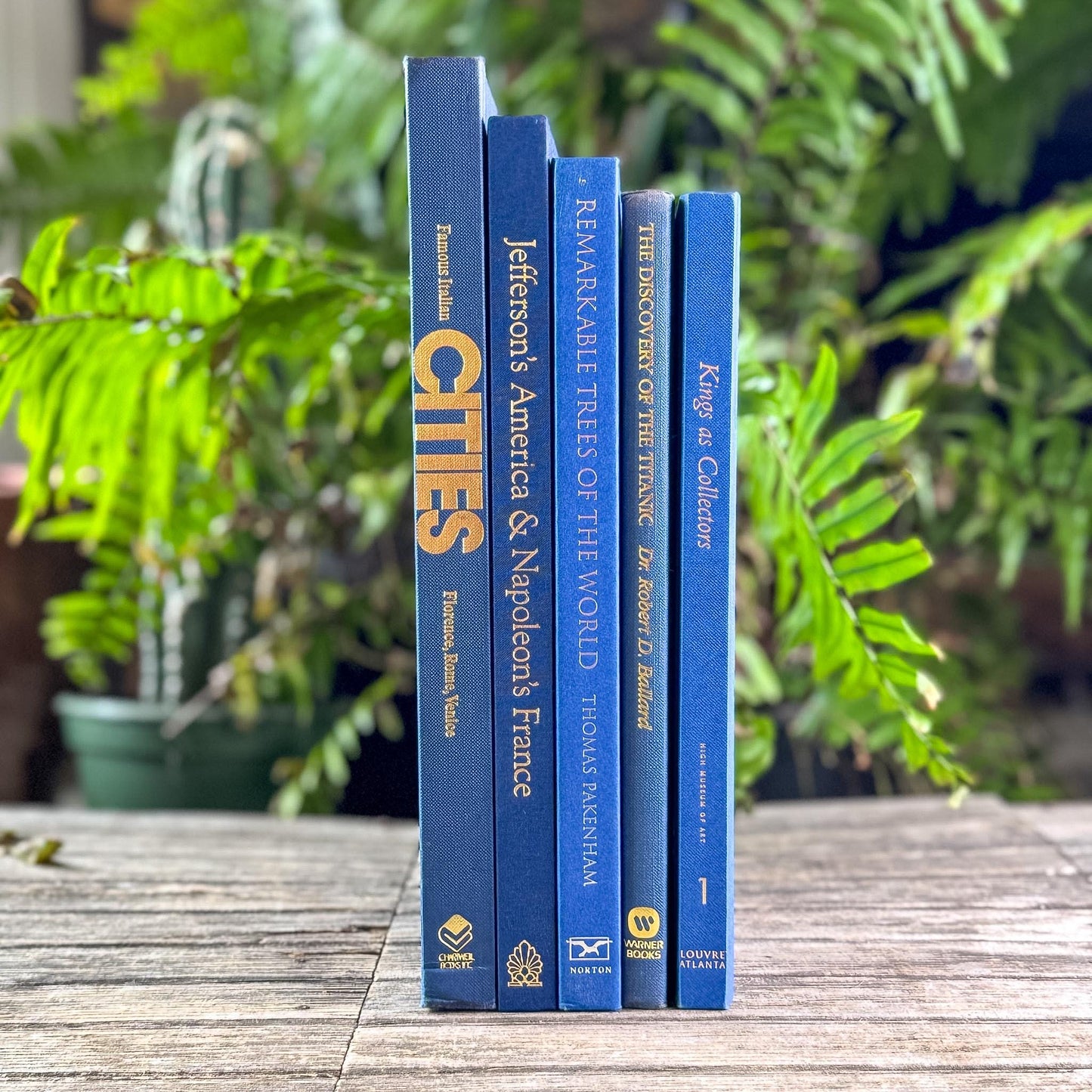 Indigo and Navy Blue Vintage Coffee Table Book Bundle
