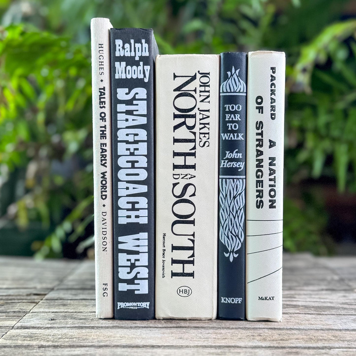 Vintage Black and White Book Bundle for Shelf Styling