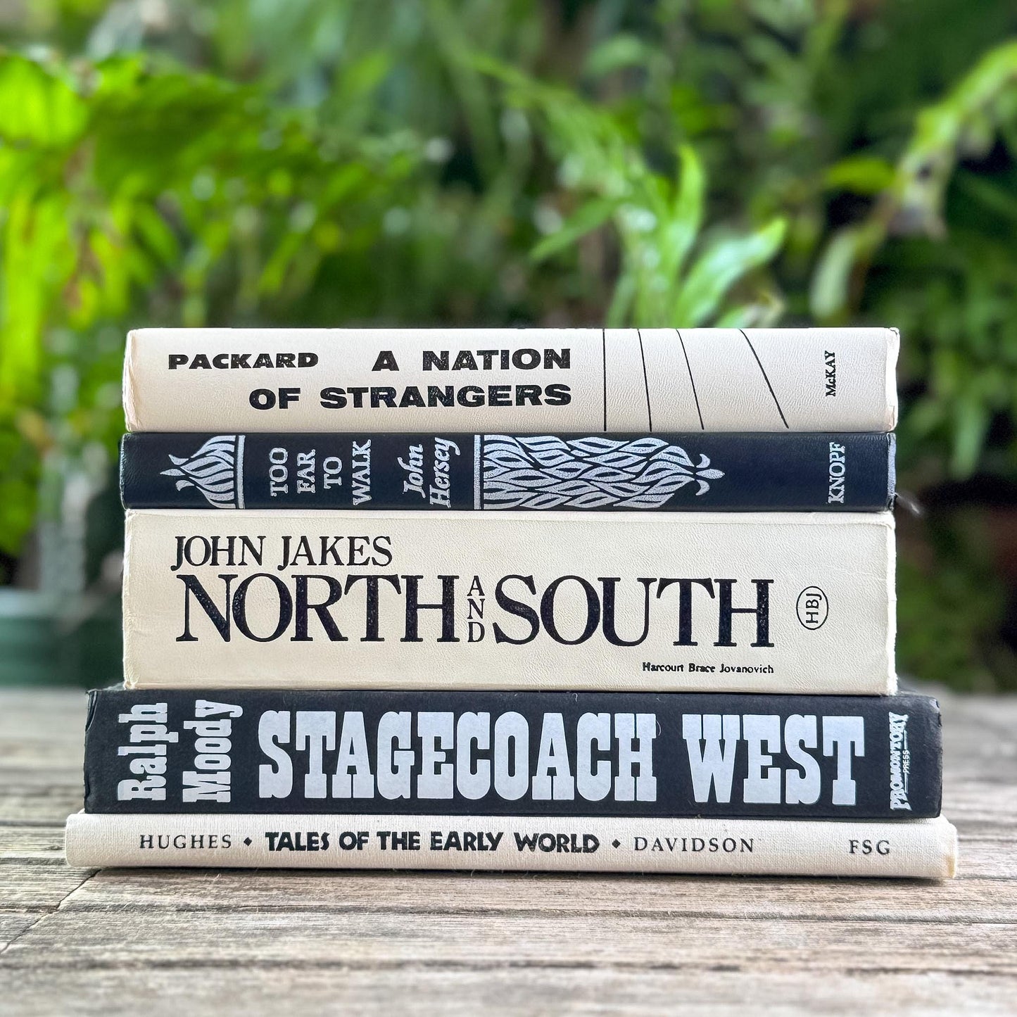 Vintage Black and White Book Bundle for Shelf Styling