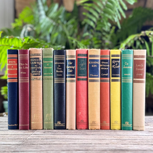 Mid-Century Multicolor Vintage Book Set for Office and Livign Room Shelf Styling