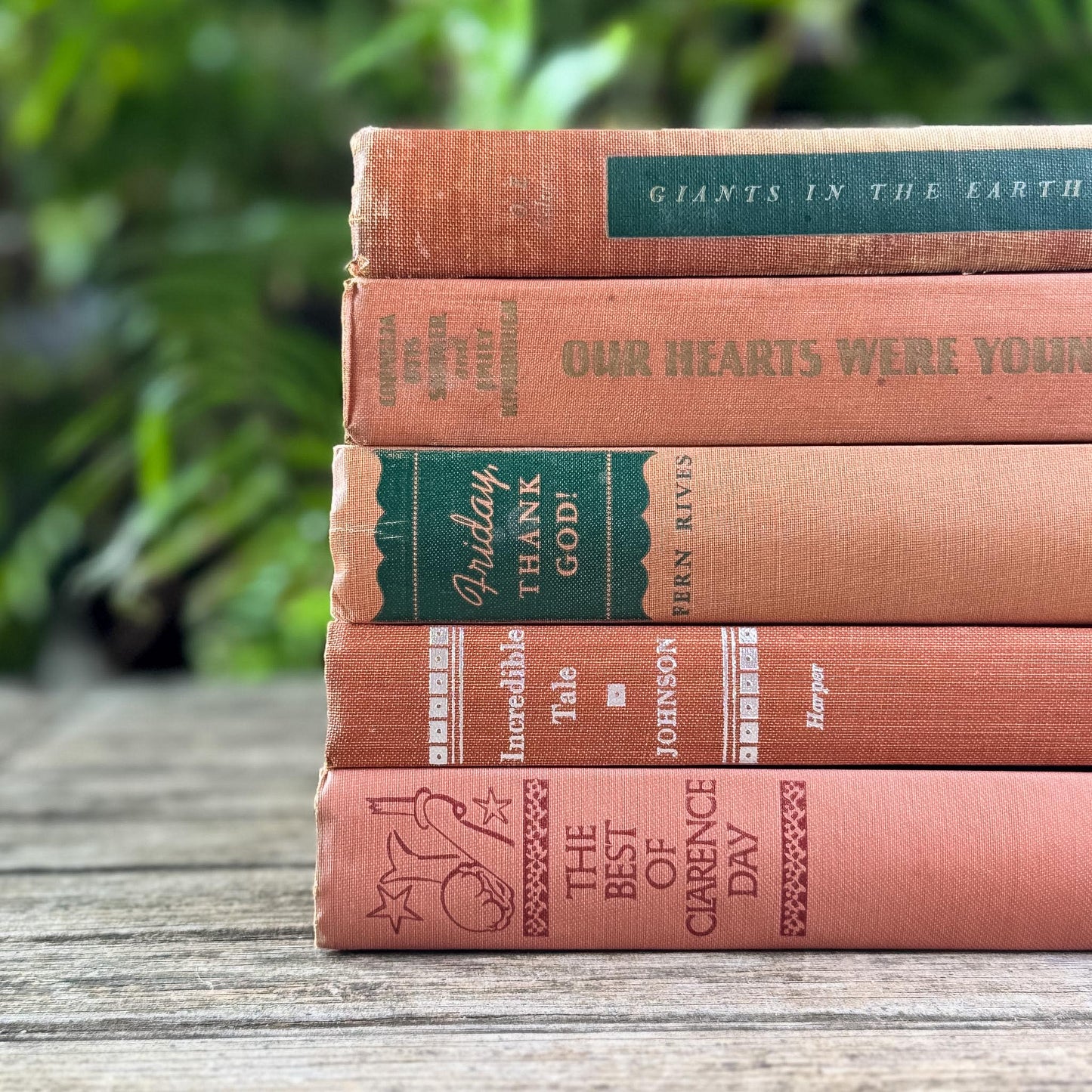 Terracotta and Peach Vintage Book Bundle for Feminine Shelf Styling