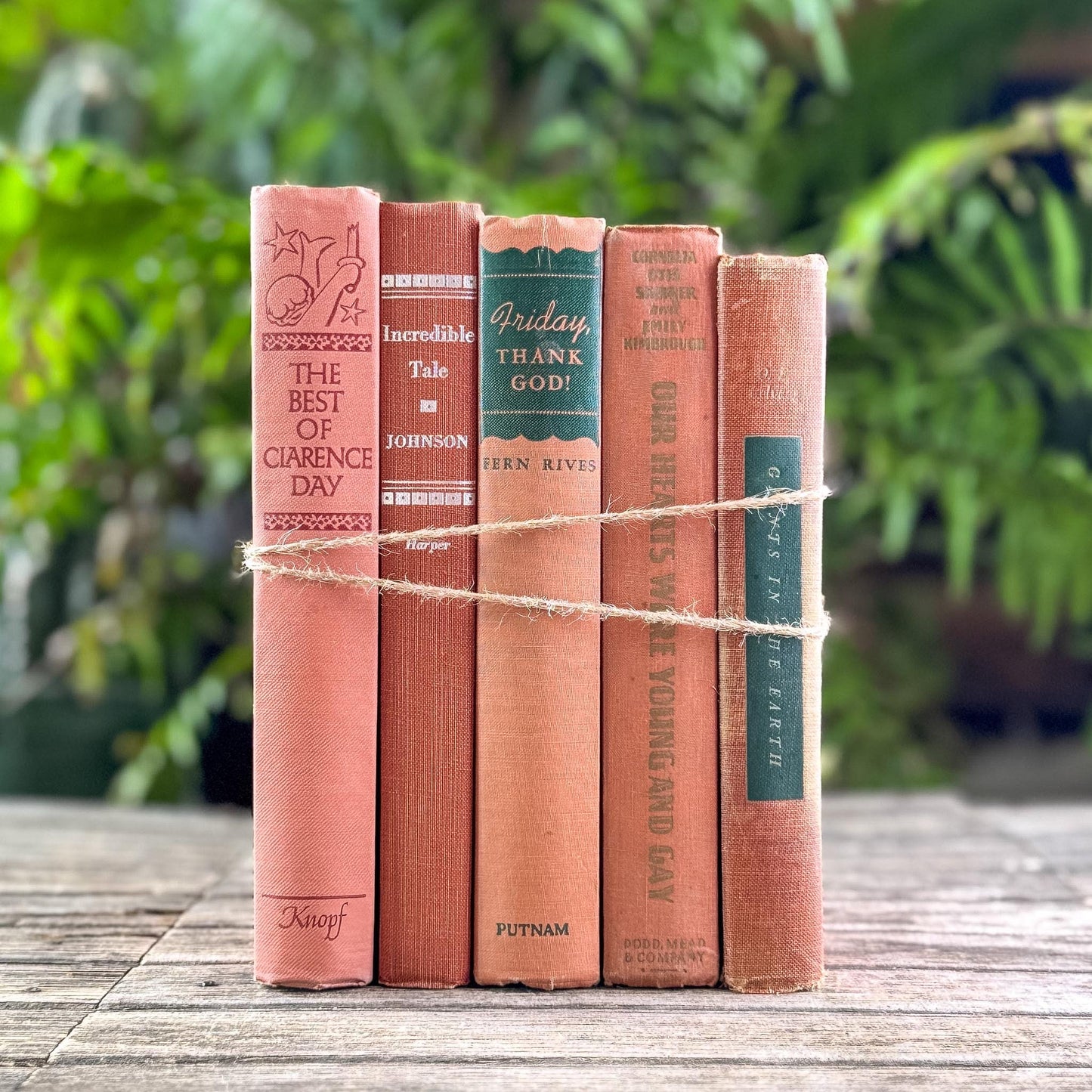 Terracotta and Peach Vintage Book Bundle for Feminine Shelf Styling