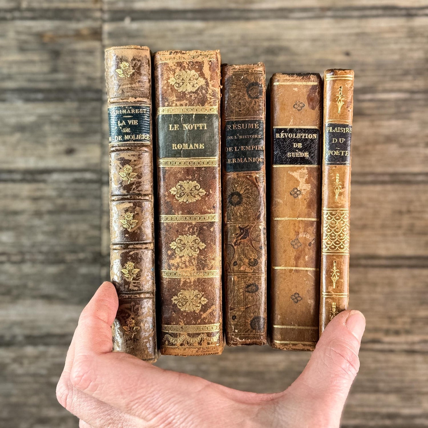 Antique 1800s Brown, Black, and Gold French Leather Book Bundle