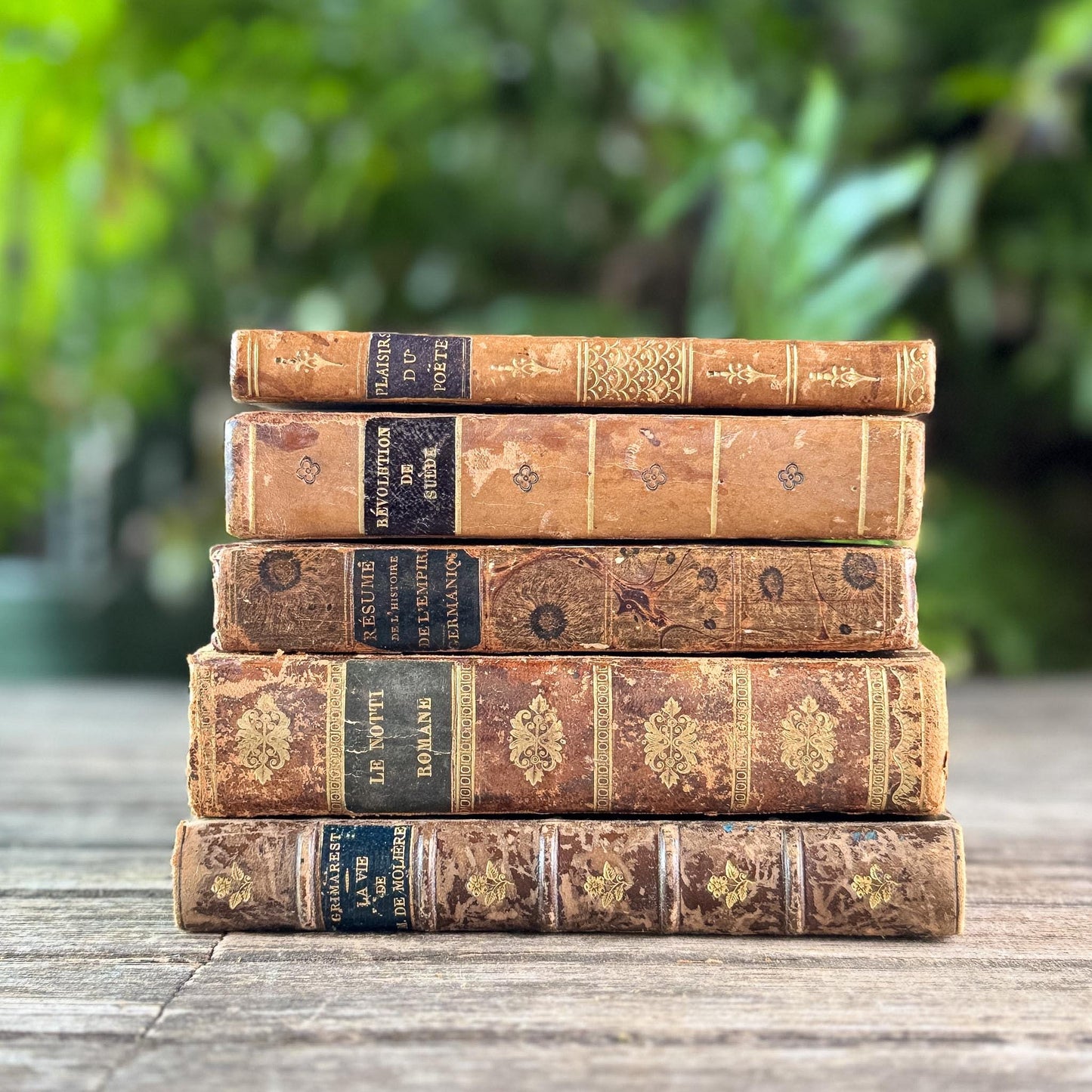 Antique 1800s Brown, Black, and Gold French Leather Book Bundle