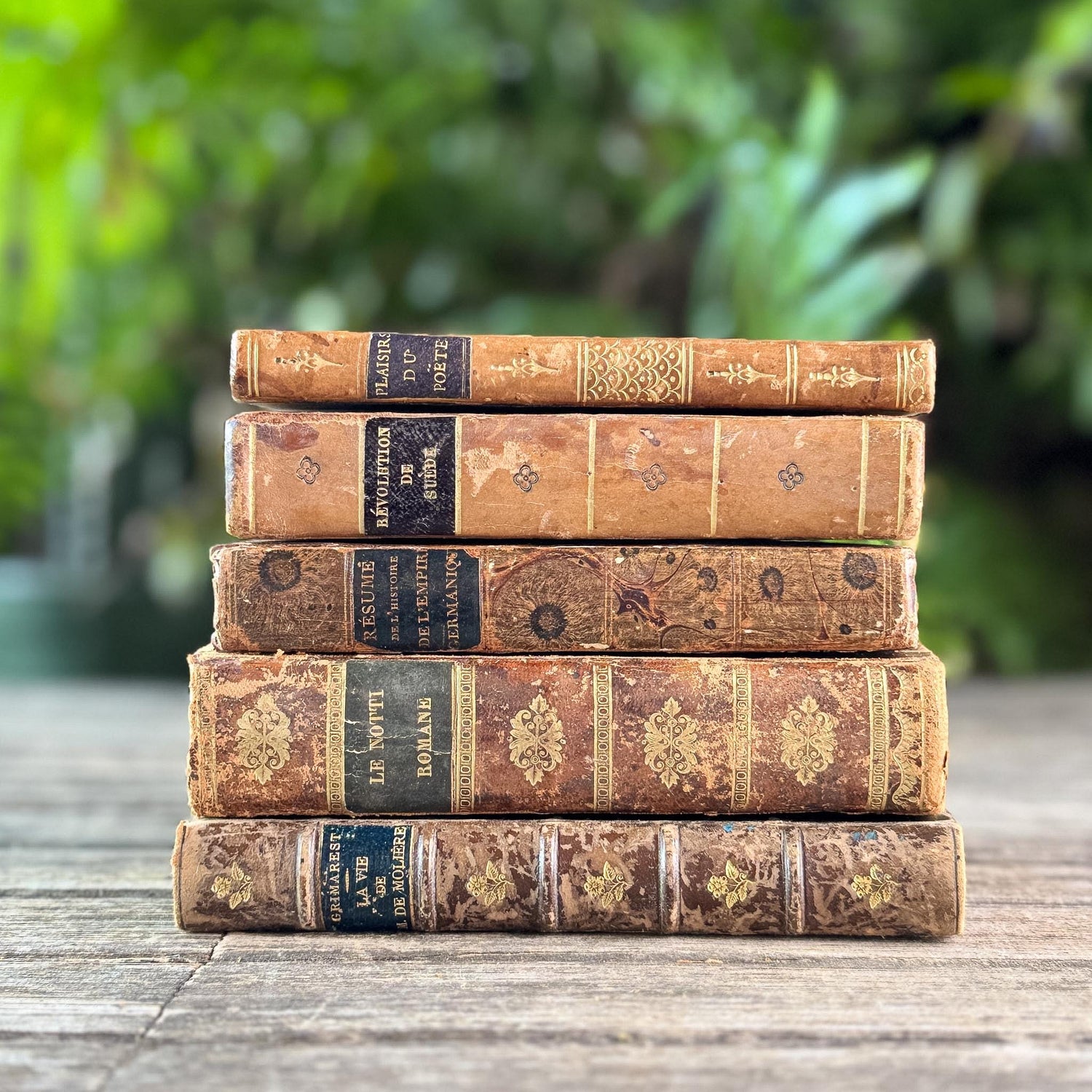 Antique 1800s Brown, Black, and Gold French Leather Book Bundle
