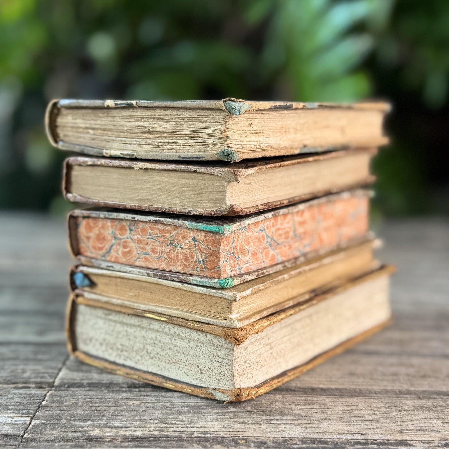 Antique 1800s Brown, Black, and Gold French Leather Book Bundle