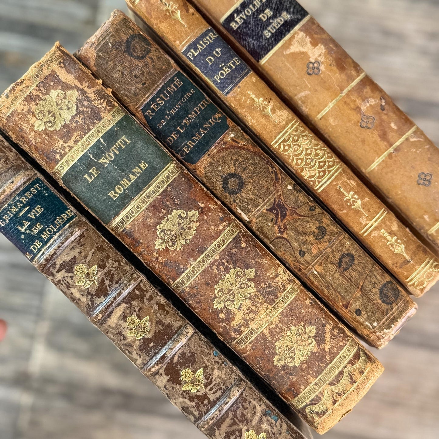 Antique 1800s Brown, Black, and Gold French Leather Book Bundle