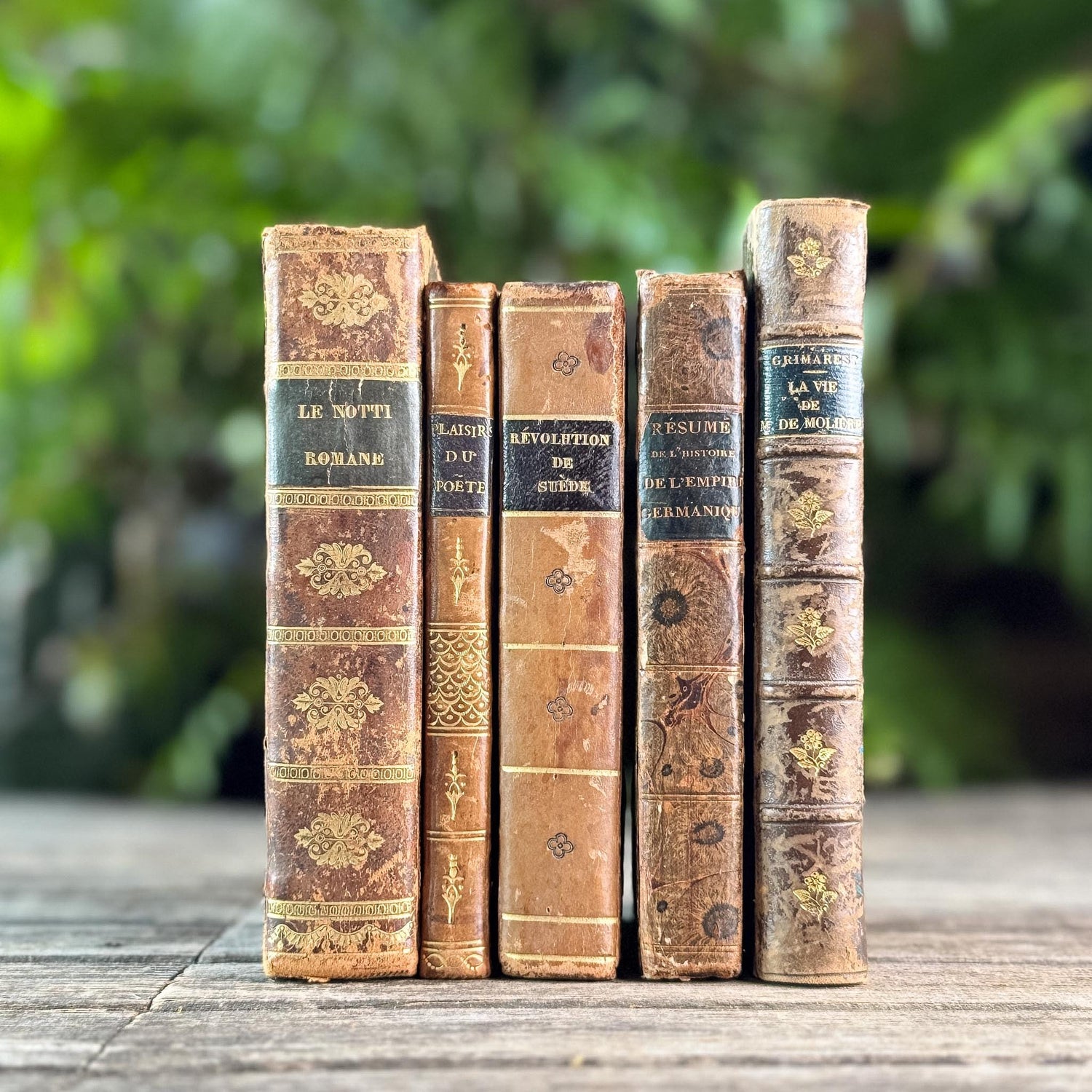 Antique 1800s Brown, Black, and Gold French Leather Book Bundle