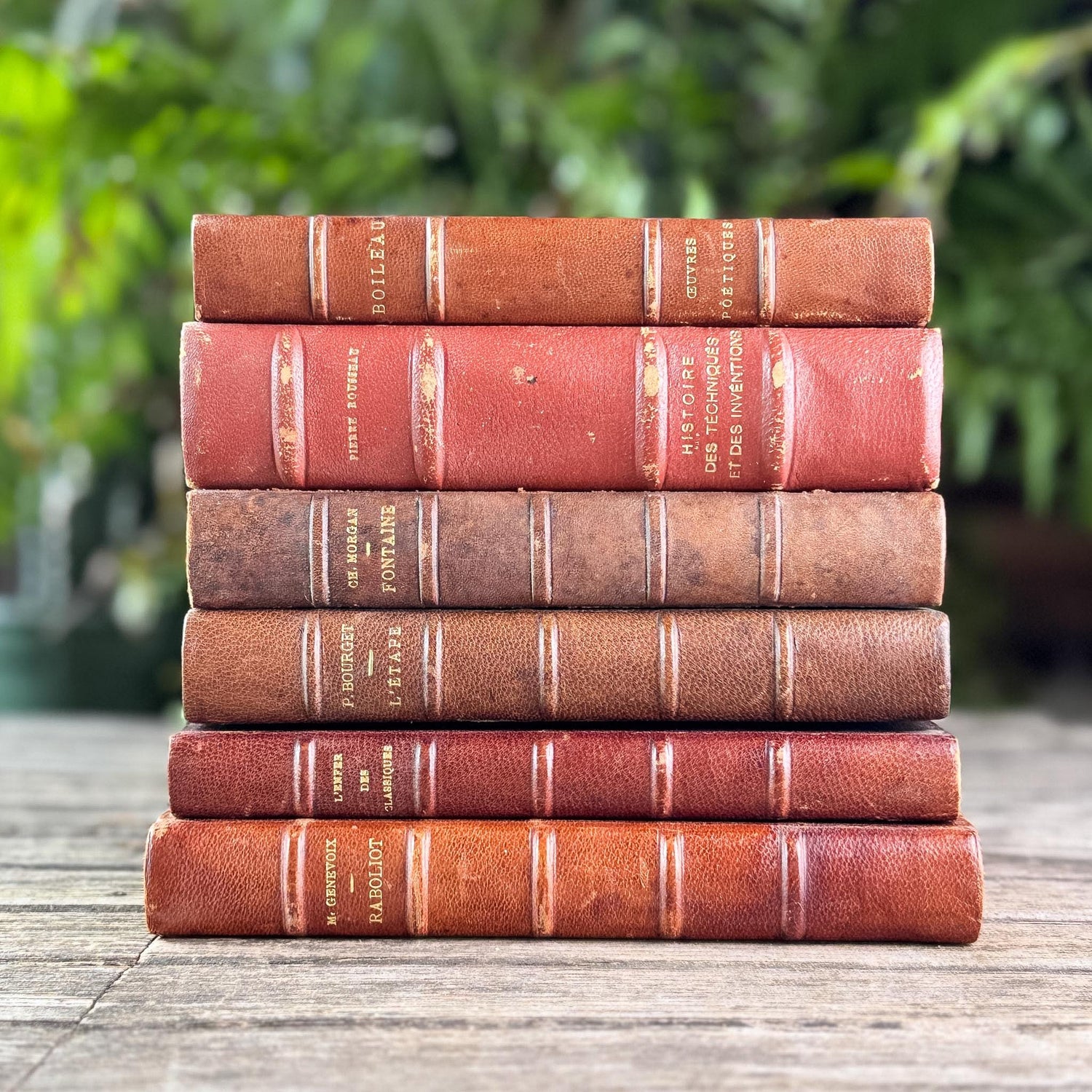 Antique Copper, Brown, and Red French Leather Book Bundle