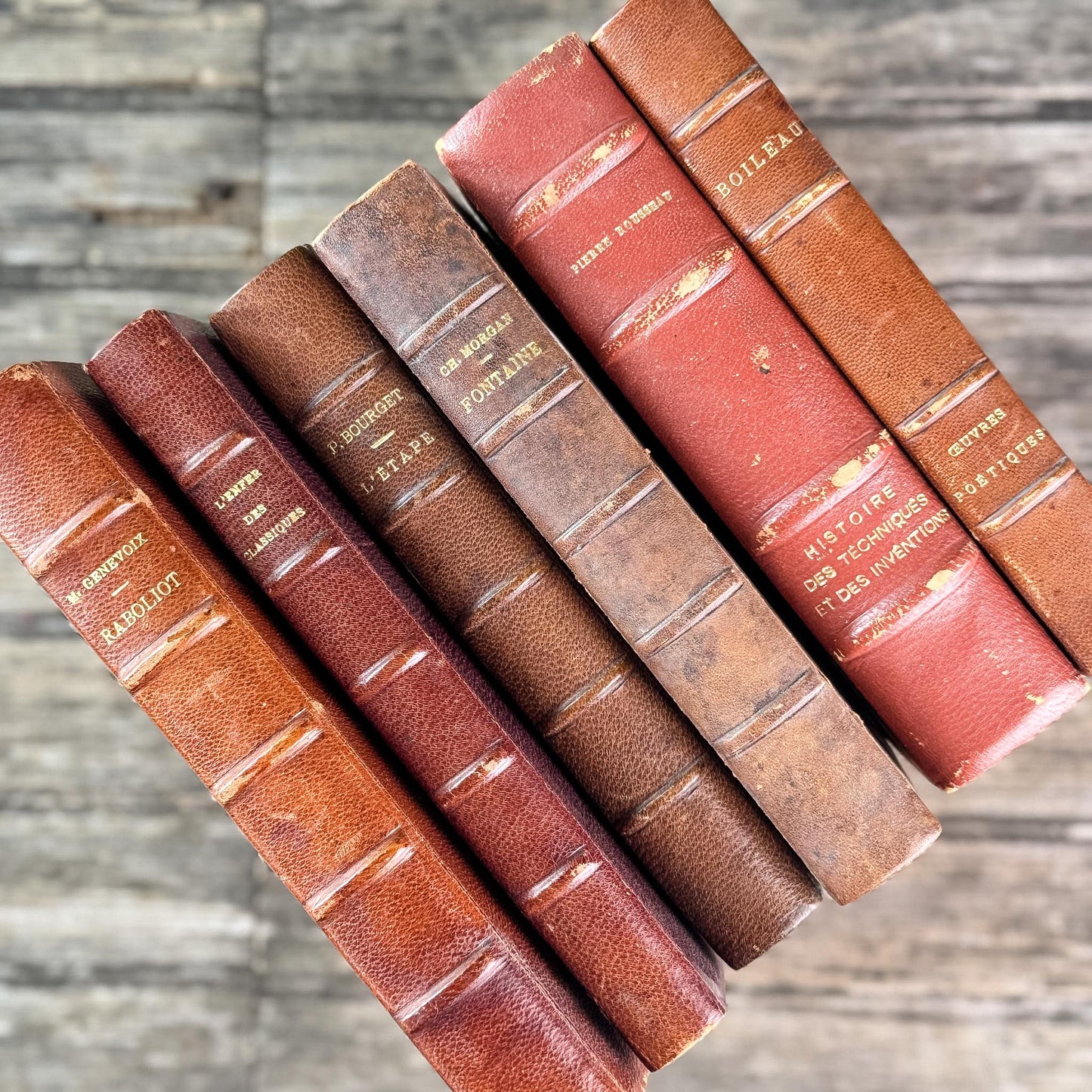 Antique Copper, Brown, and Red French Leather Book Bundle