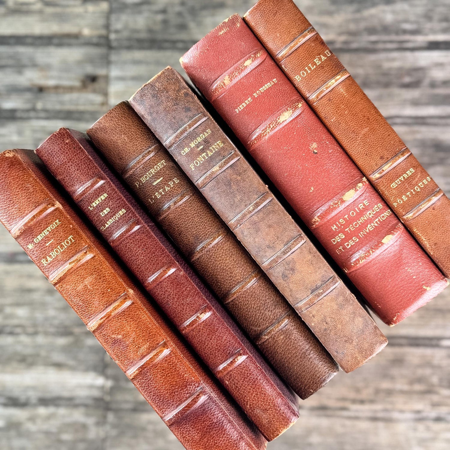 Antique Copper, Brown, and Red French Leather Book Bundle