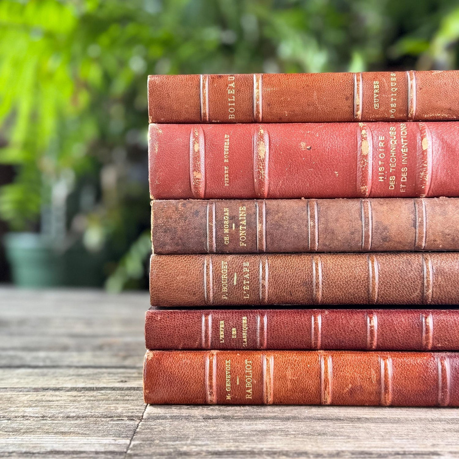 Antique Copper, Brown, and Red French Leather Book Bundle