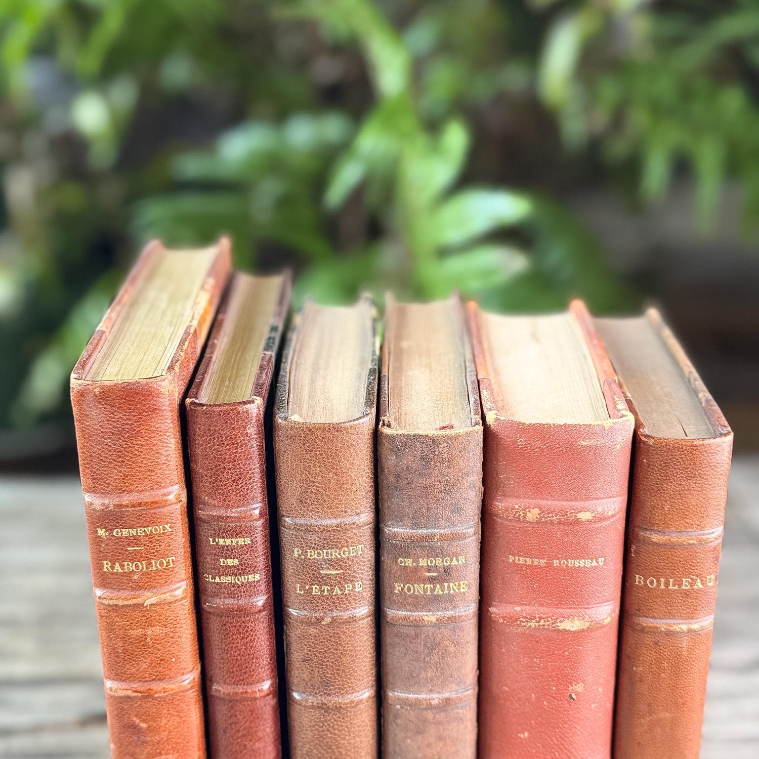 Antique Copper, Brown, and Red French Leather Book Bundle