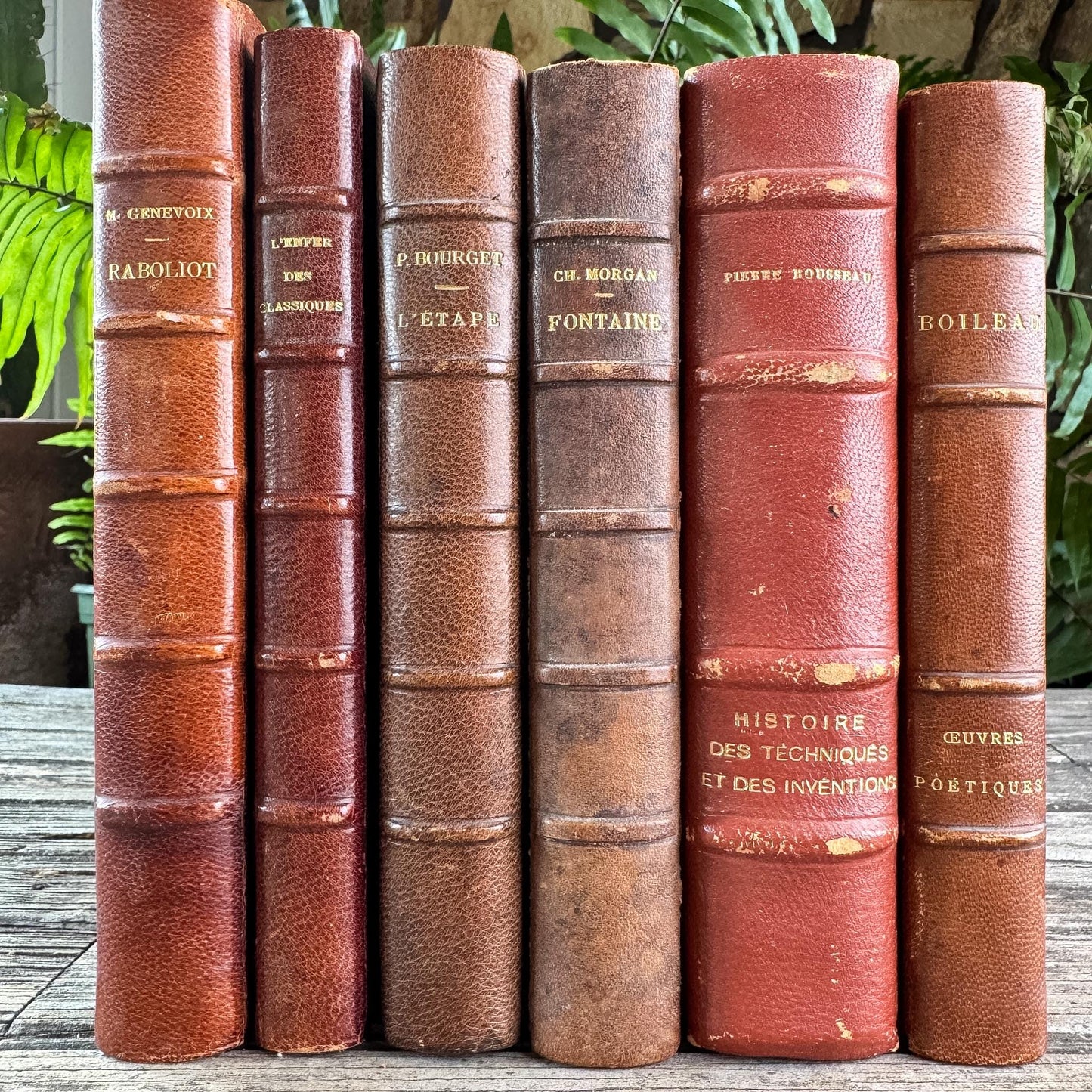 Antique Copper, Brown, and Red French Leather Book Bundle