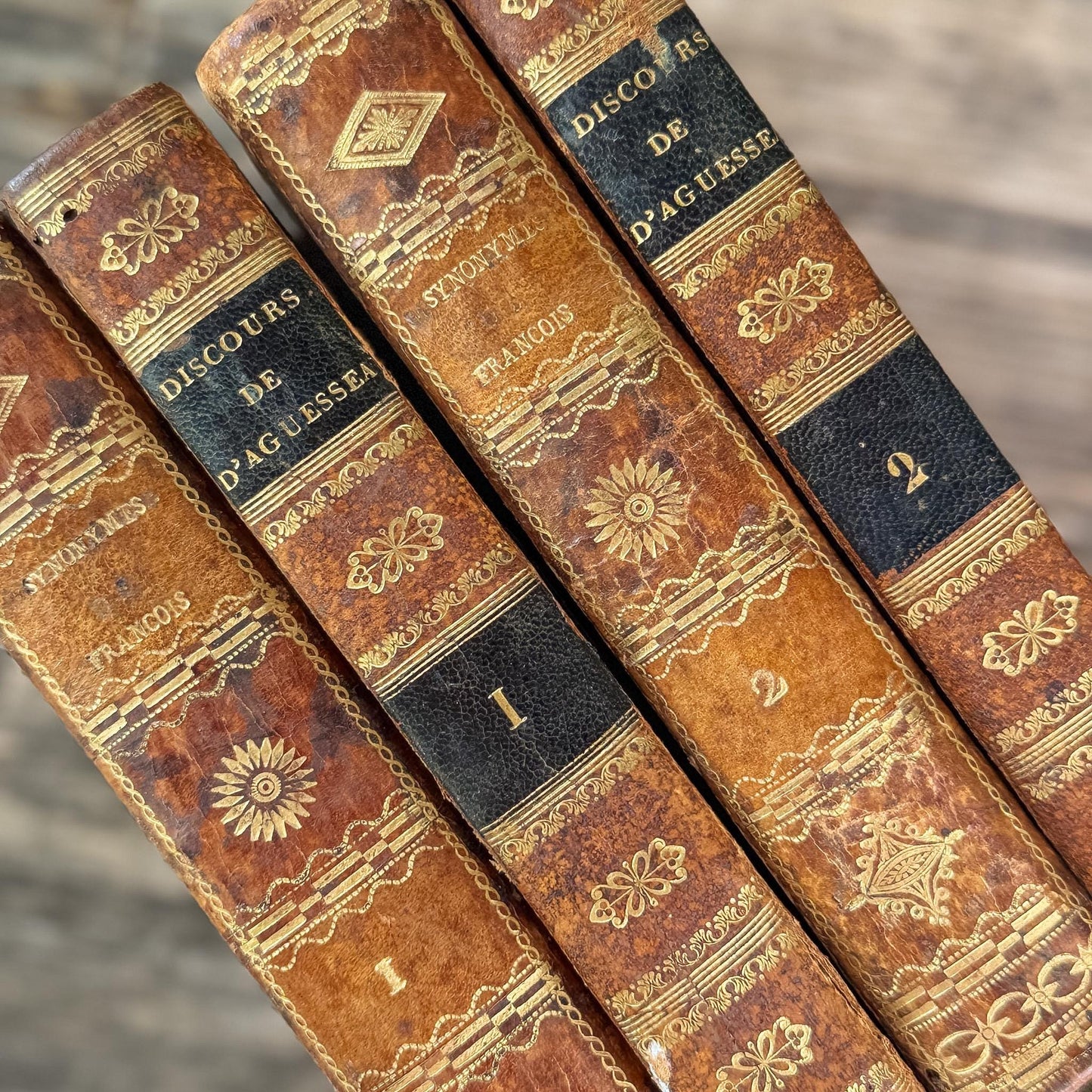 Antique French Leather Book Ornate Book Set for Small Spaces