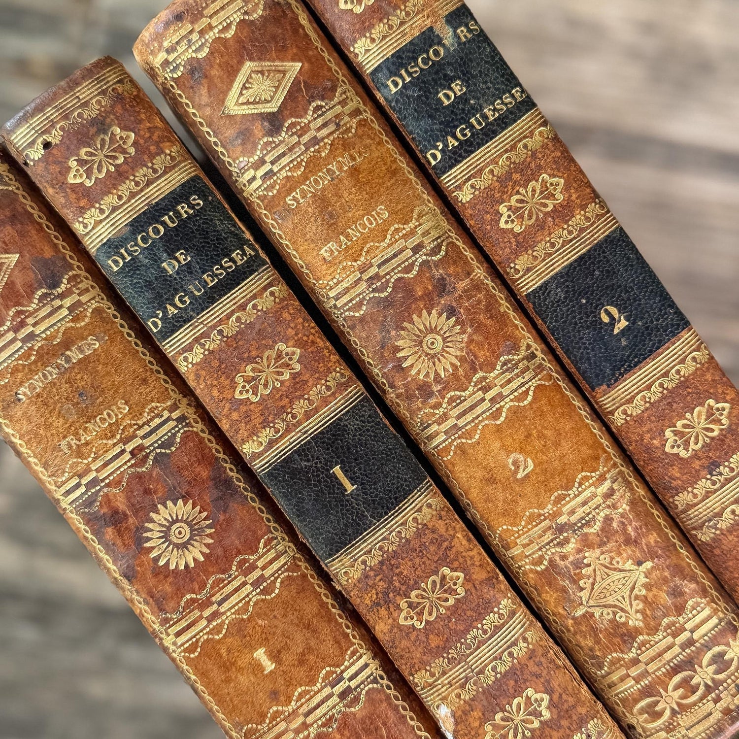 Antique French Leather Book Ornate Book Set for Small Spaces