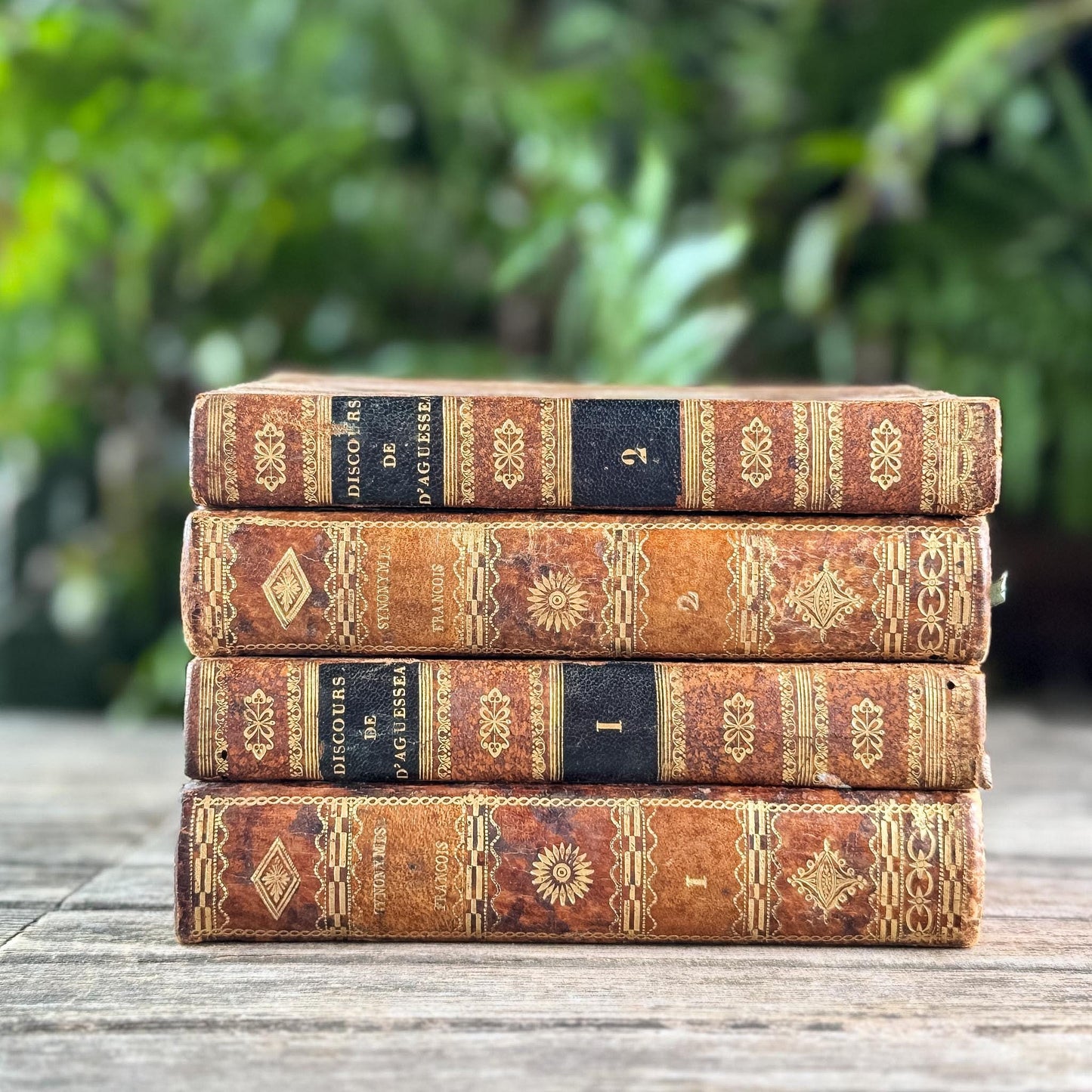Antique French Leather Book Ornate Book Set for Small Spaces