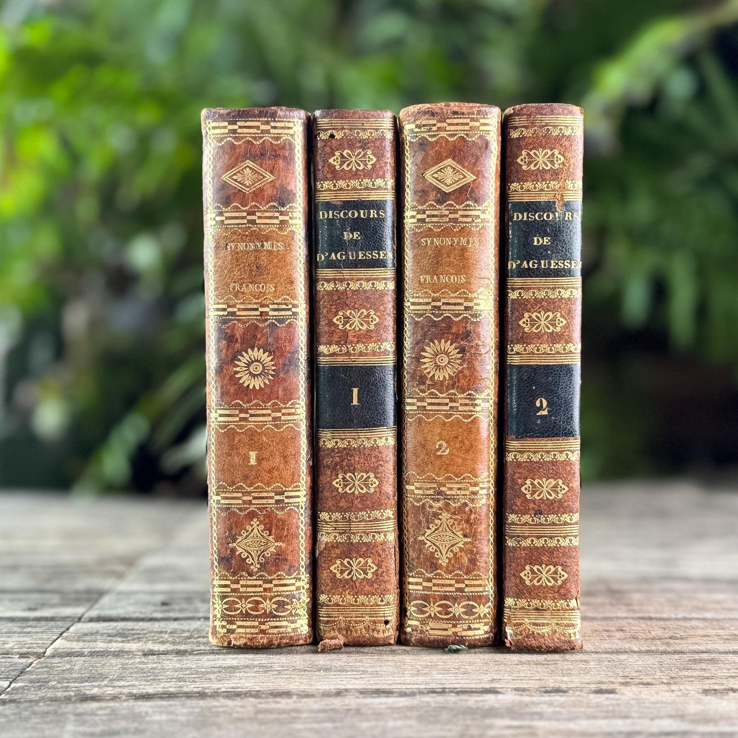 Antique French Leather Book Ornate Book Set for Small Spaces