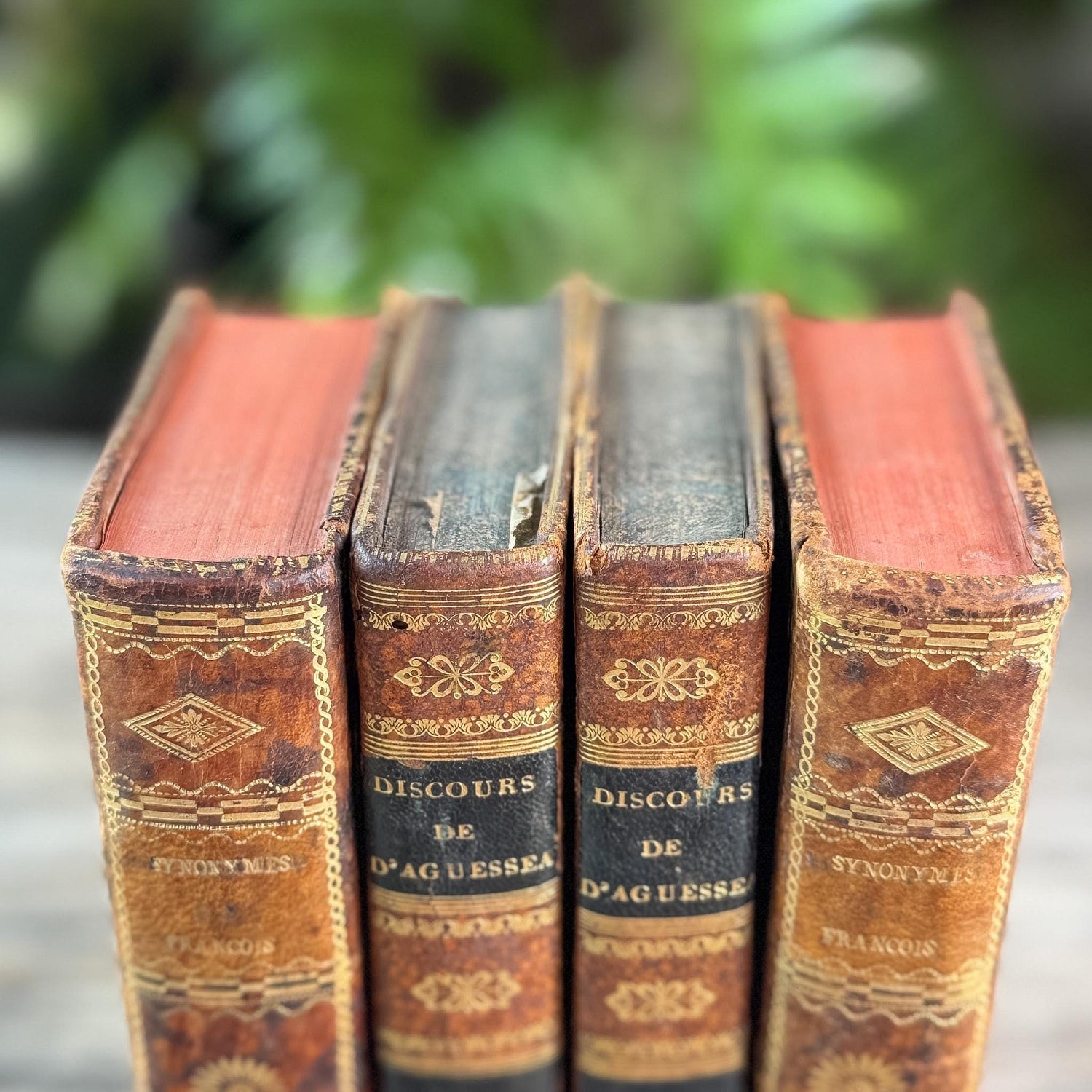 Antique French Leather Book Ornate Book Set for Small Spaces
