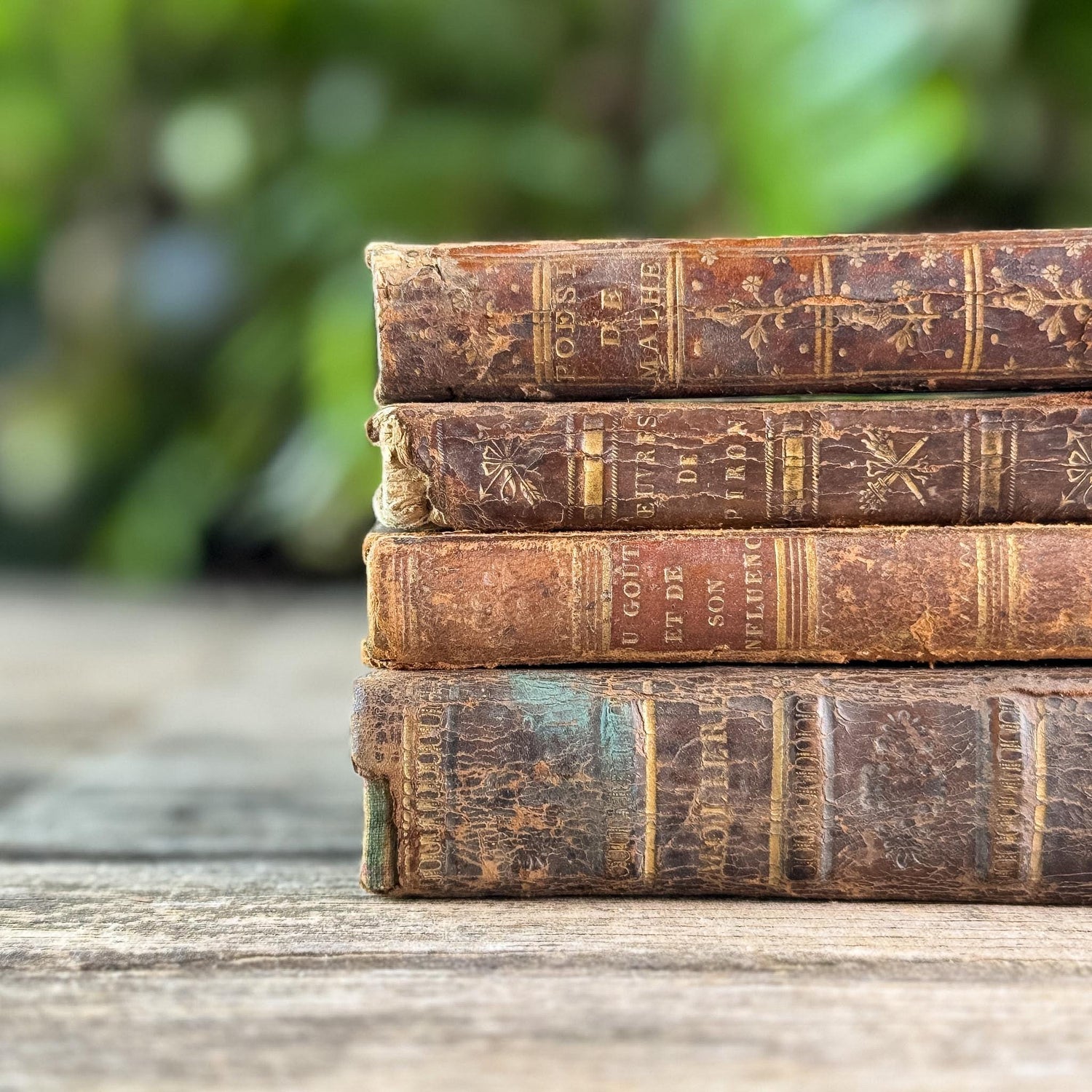 Small Shabby Antique French Book Set in Brown and Gold Leather